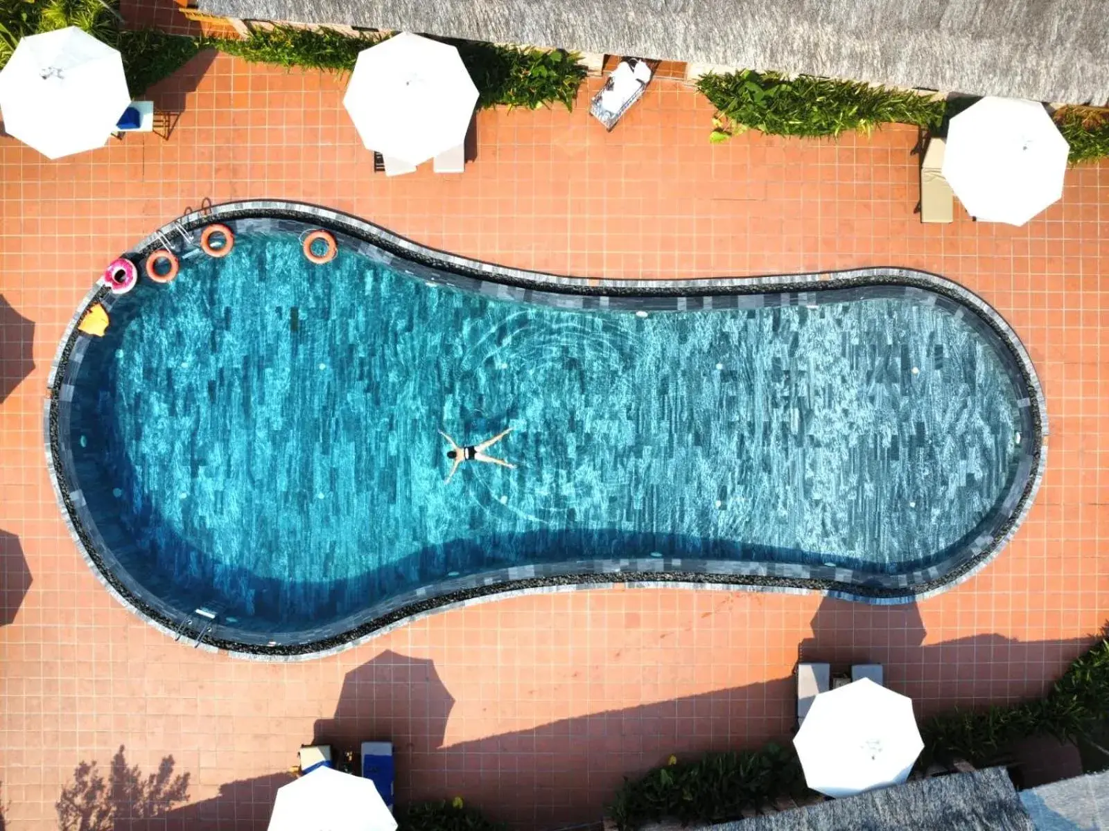 Swimming pool in ENSO Retreat Hoi An - Rediscovery & Serenity Swimming pool in ENSO Retreat Hoi An - Rediscovery & Serenity