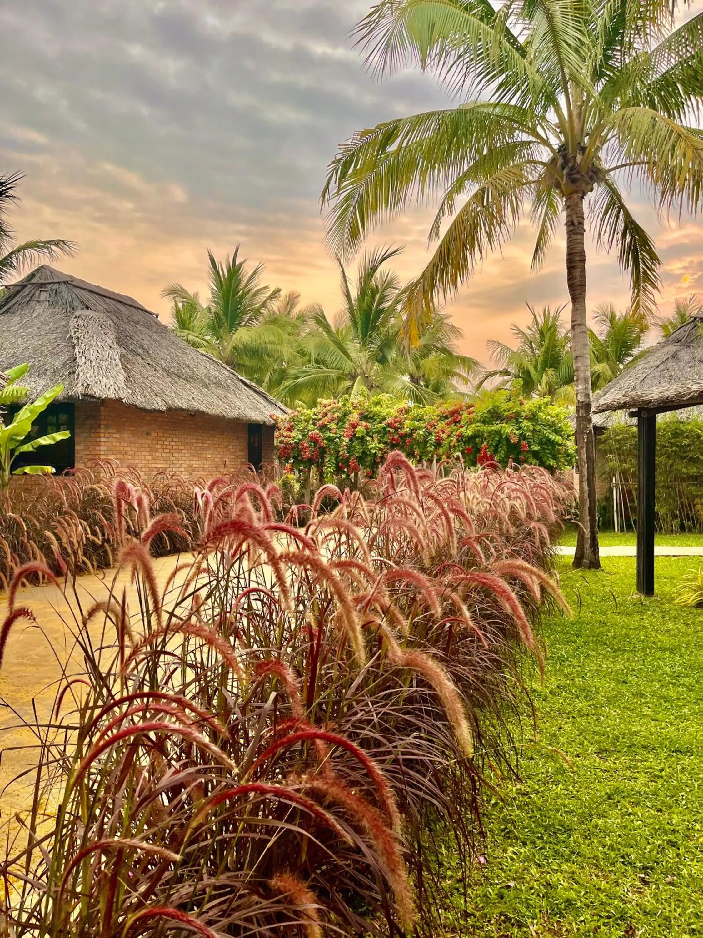 Day in ENSO Retreat Hoi An - Rediscovery & Serenity