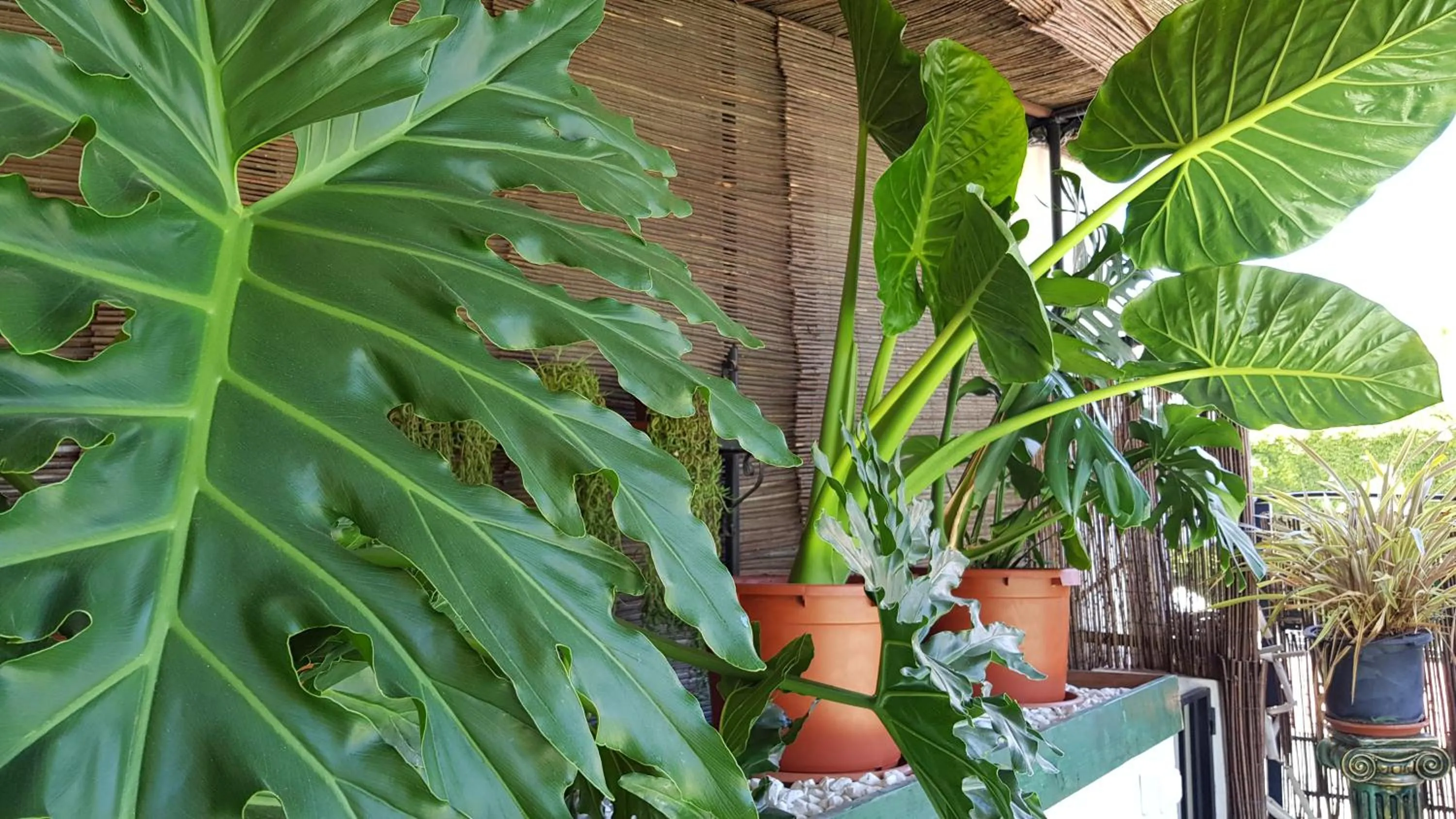 Property building in Posada Alpujarra Sol