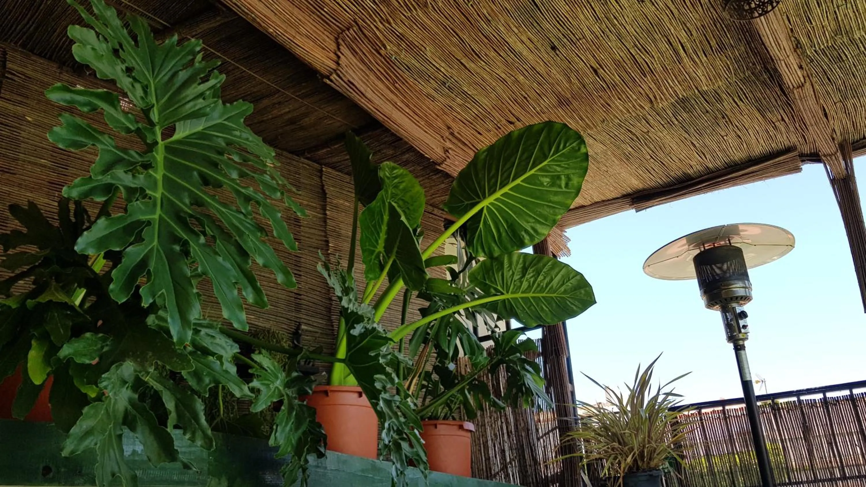 Property building in Posada Alpujarra Sol