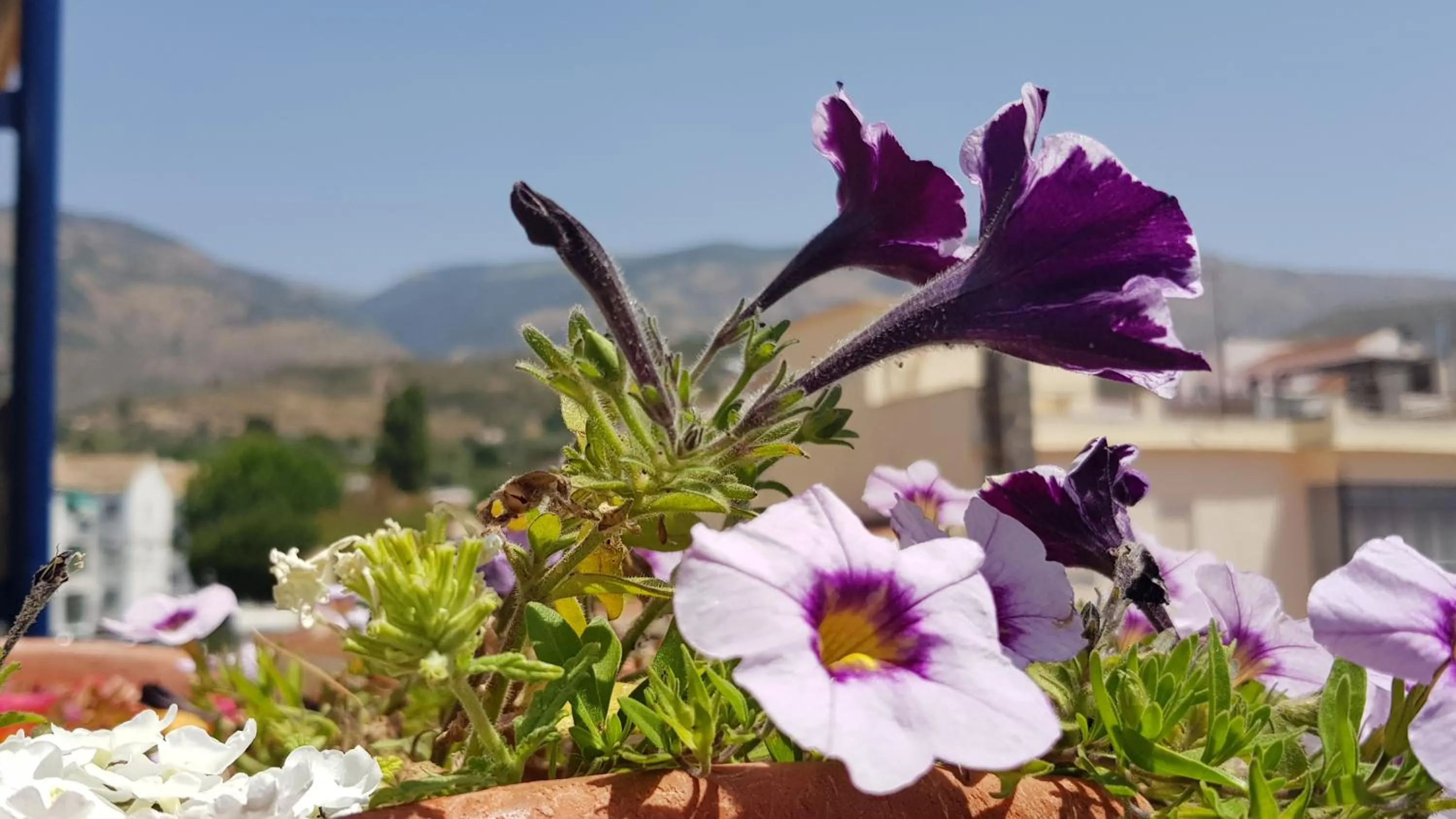 Property building in Posada Alpujarra Sol