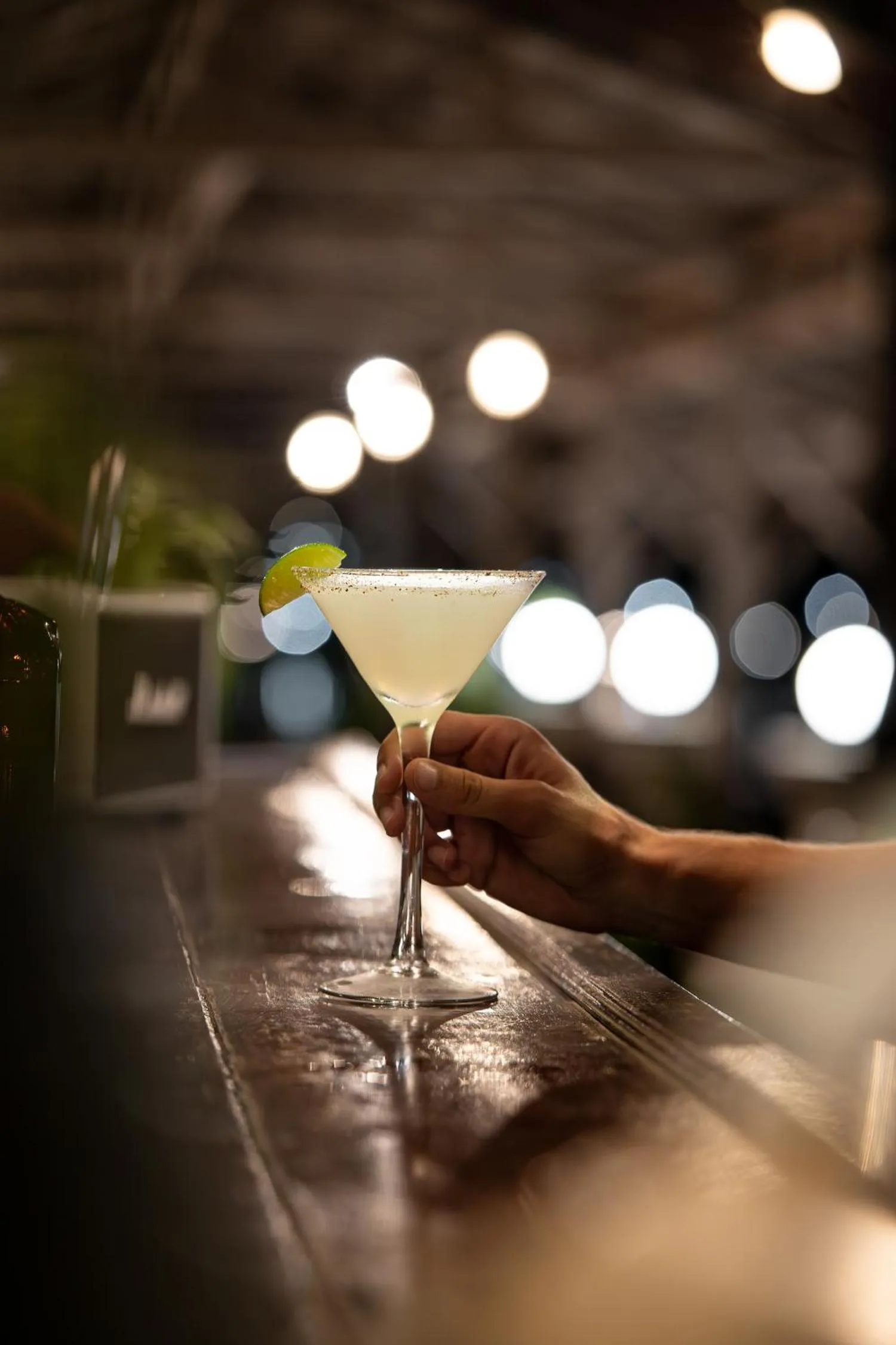 Lounge or bar in Silver Naga Hotel