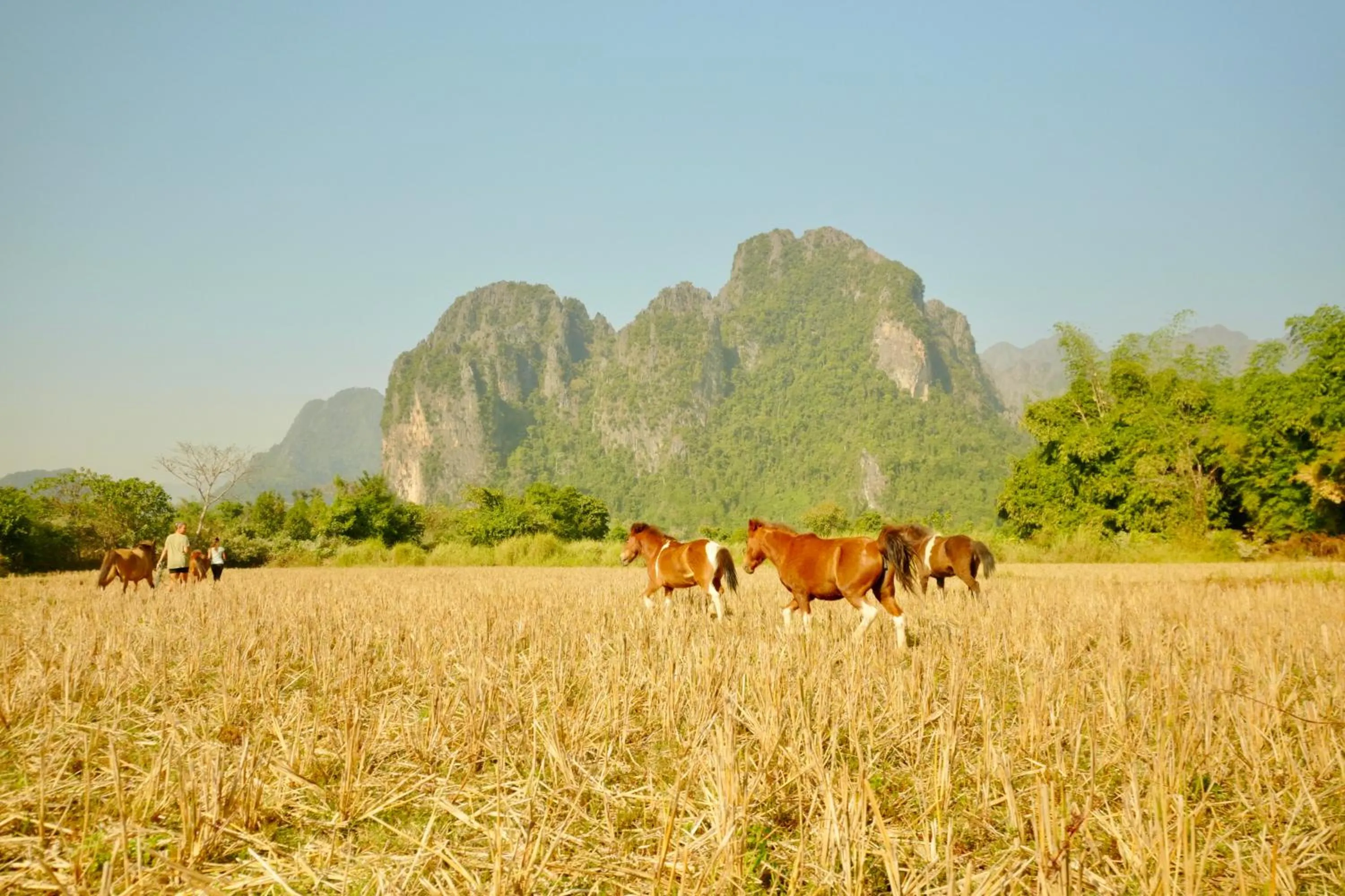 Mountain view in Silver Naga Hotel