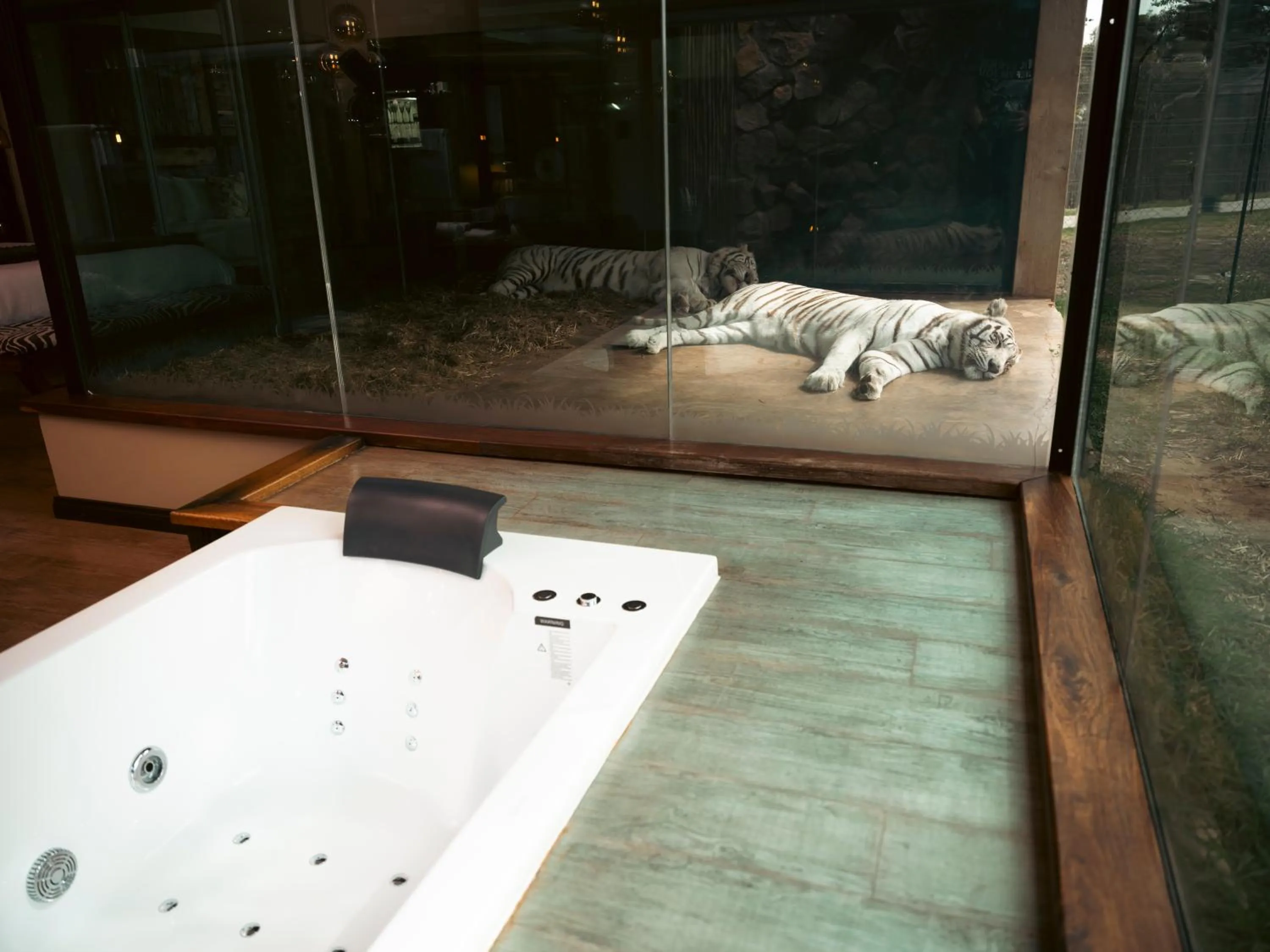 Night in Shekinah Lion & Game Lodge