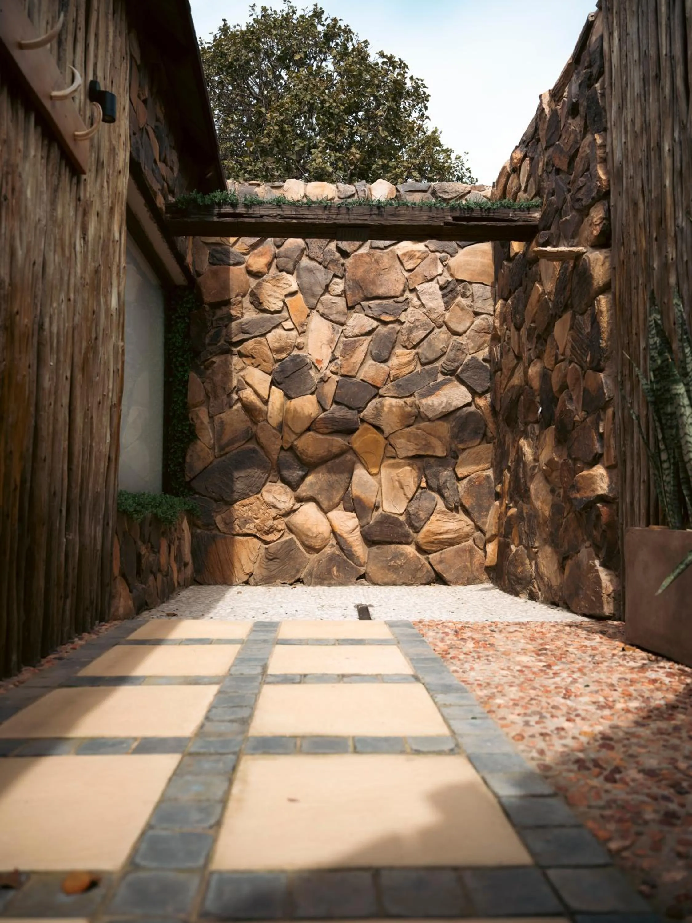 Day in Shekinah Lion & Game Lodge