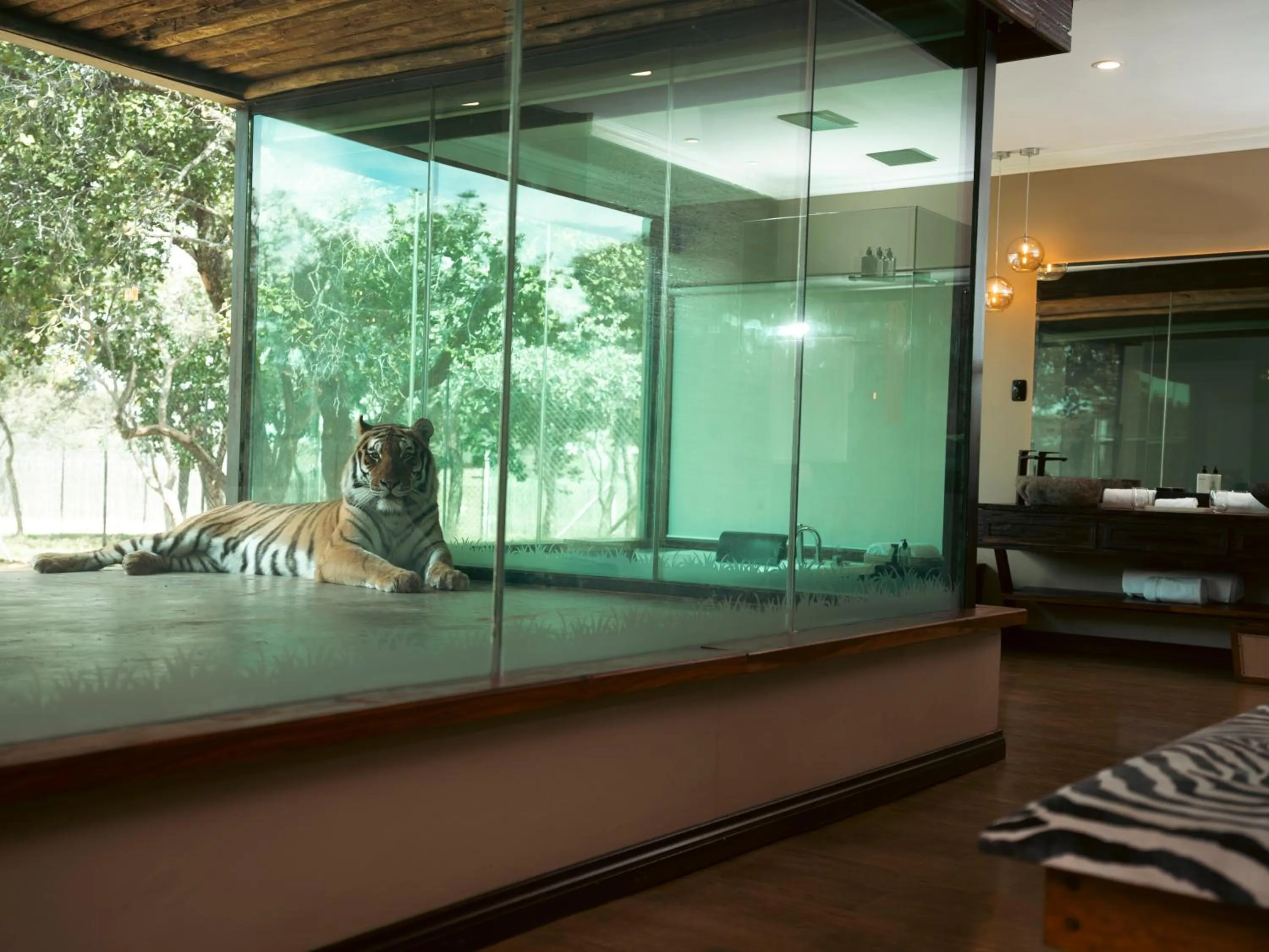 Bedroom in Shekinah Lion & Game Lodge