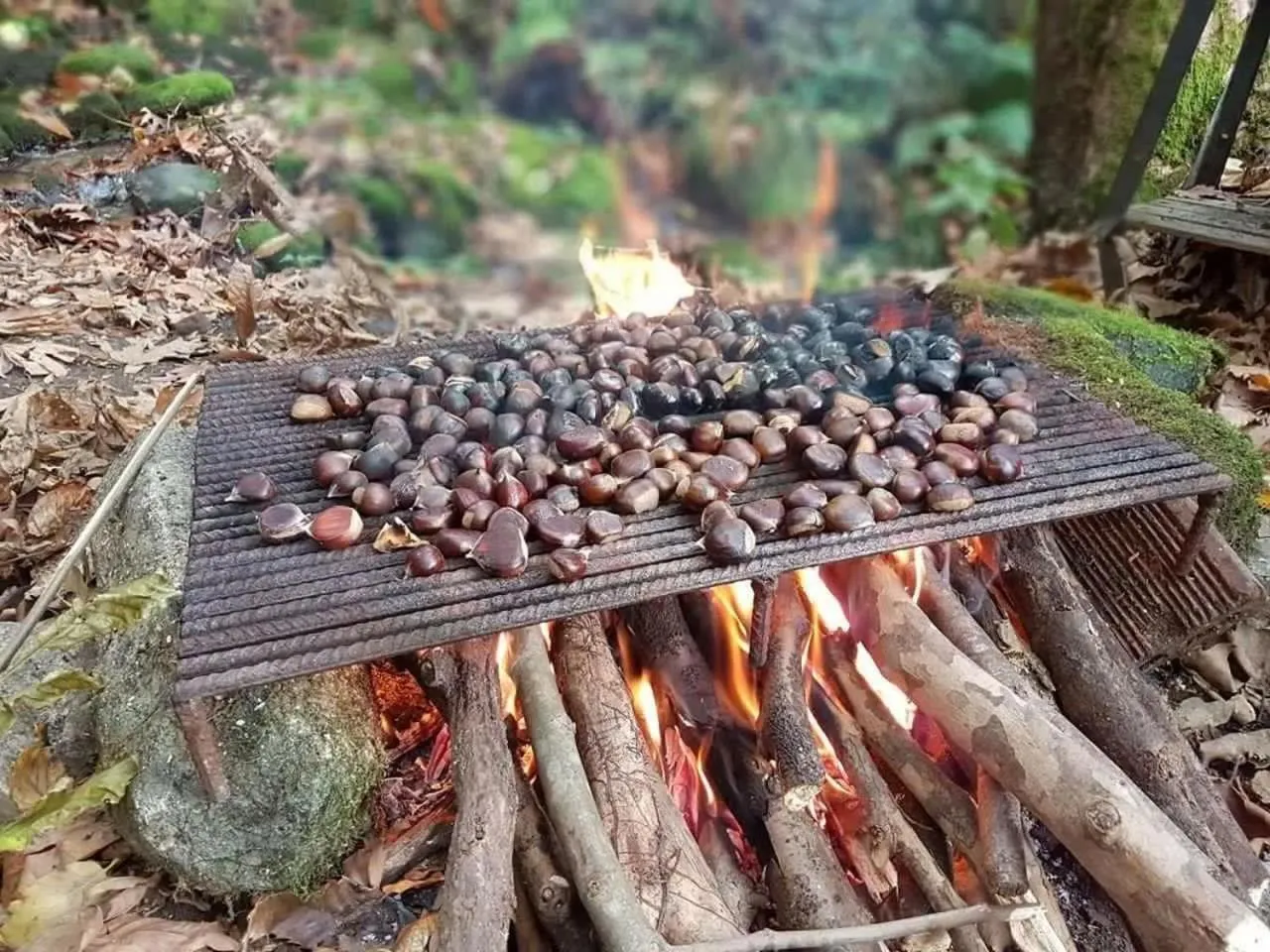 Food close-up in Hotel Saint Nedelya