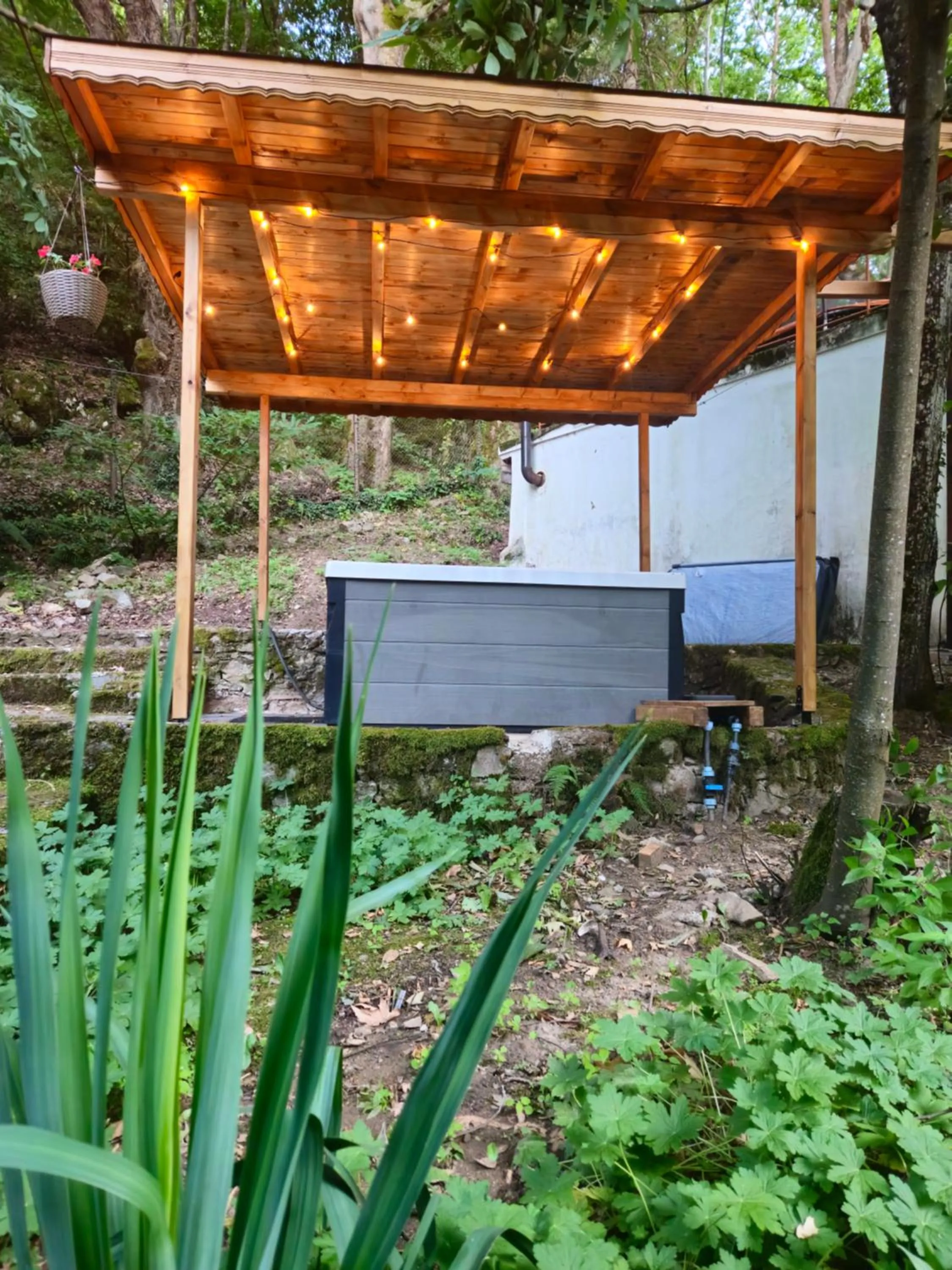 Garden in Hotel Saint Nedelya