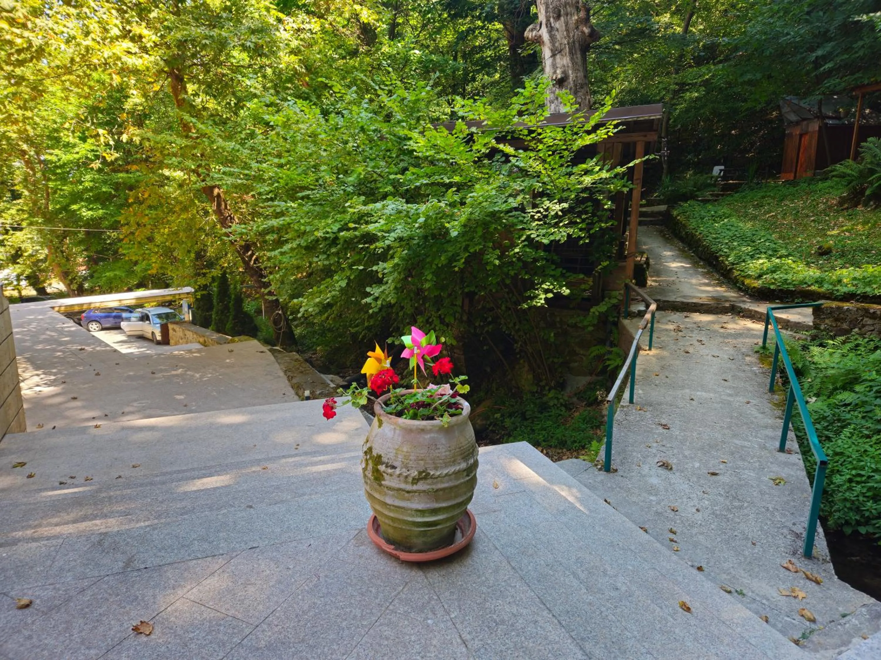 Day in Hotel Saint Nedelya