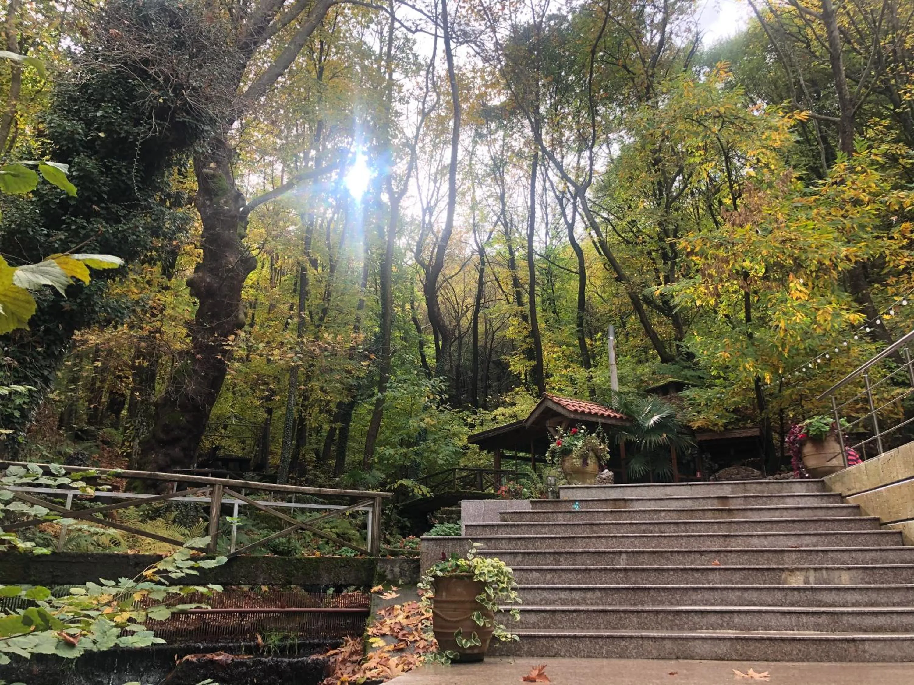 Garden in Hotel Saint Nedelya