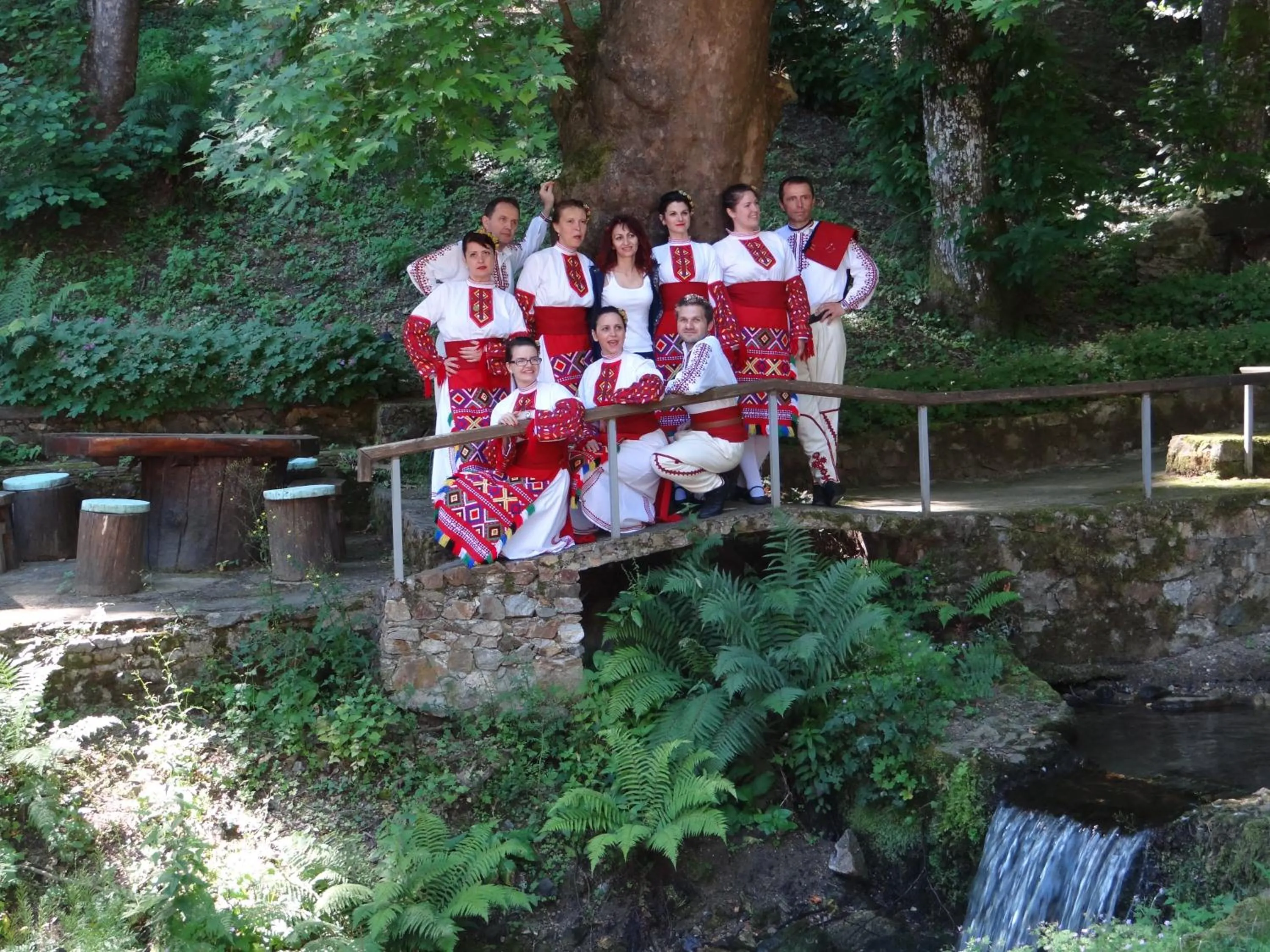 Garden in Hotel Saint Nedelya