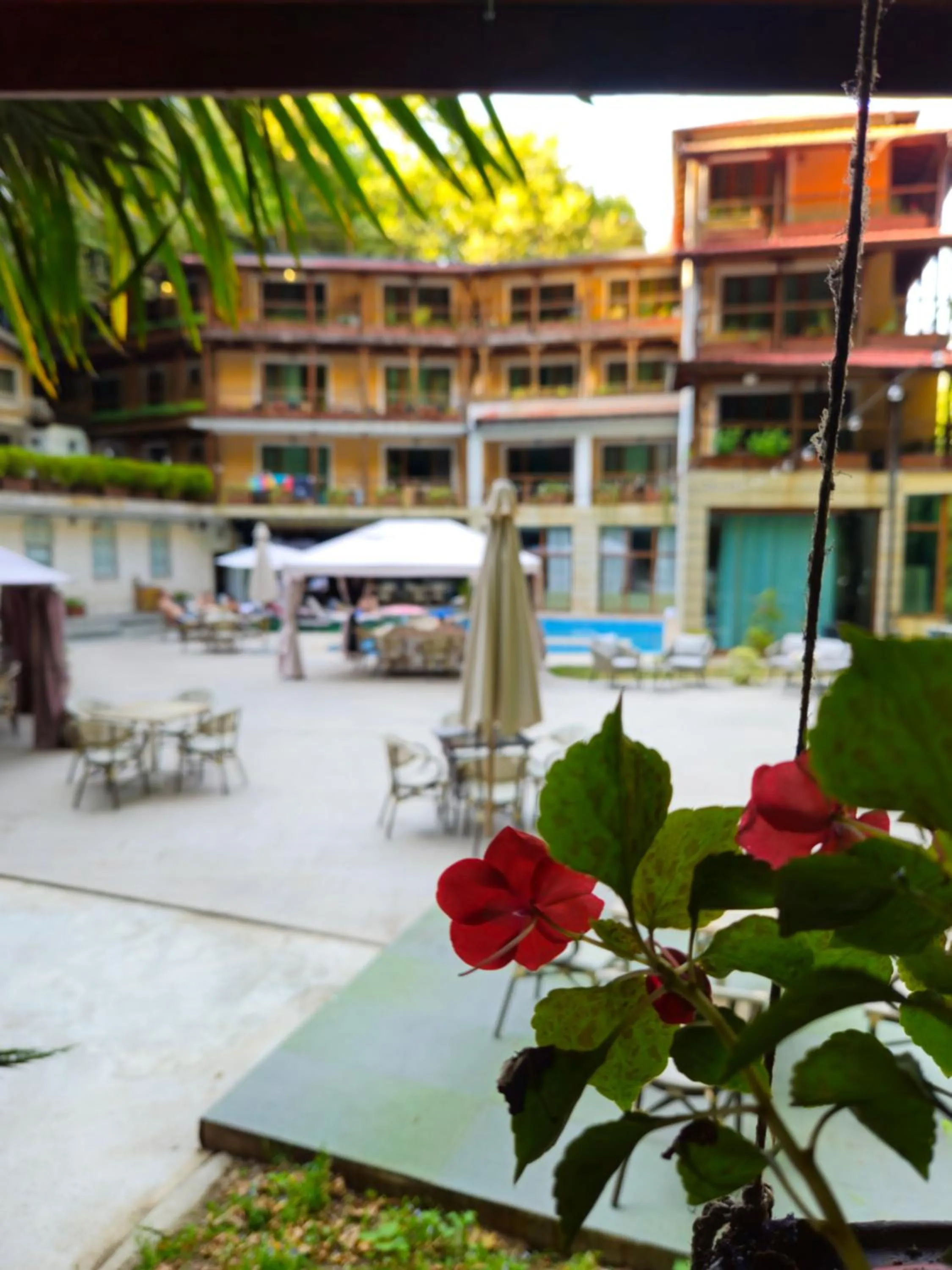 Patio in Hotel Saint Nedelya