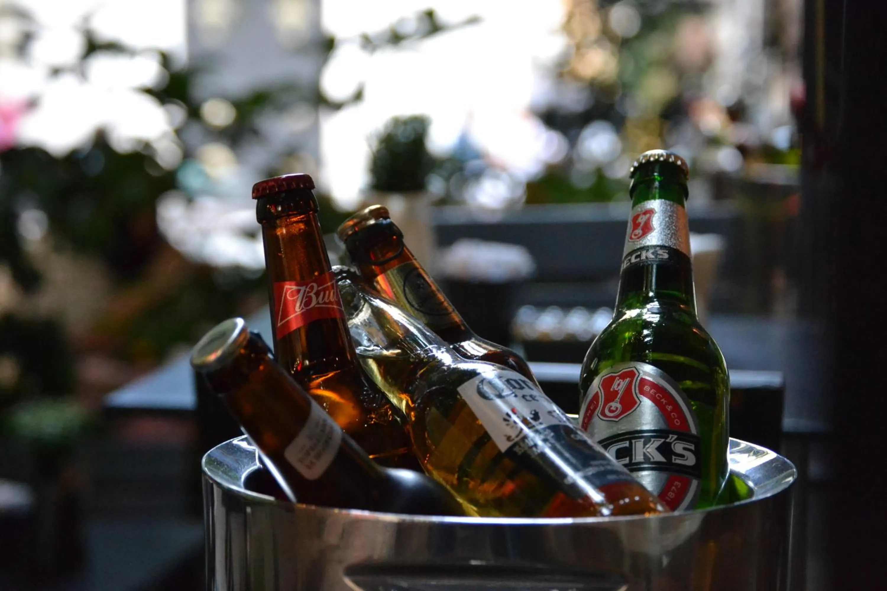 Restaurant/places to eat in Costa Karakoy Hotel