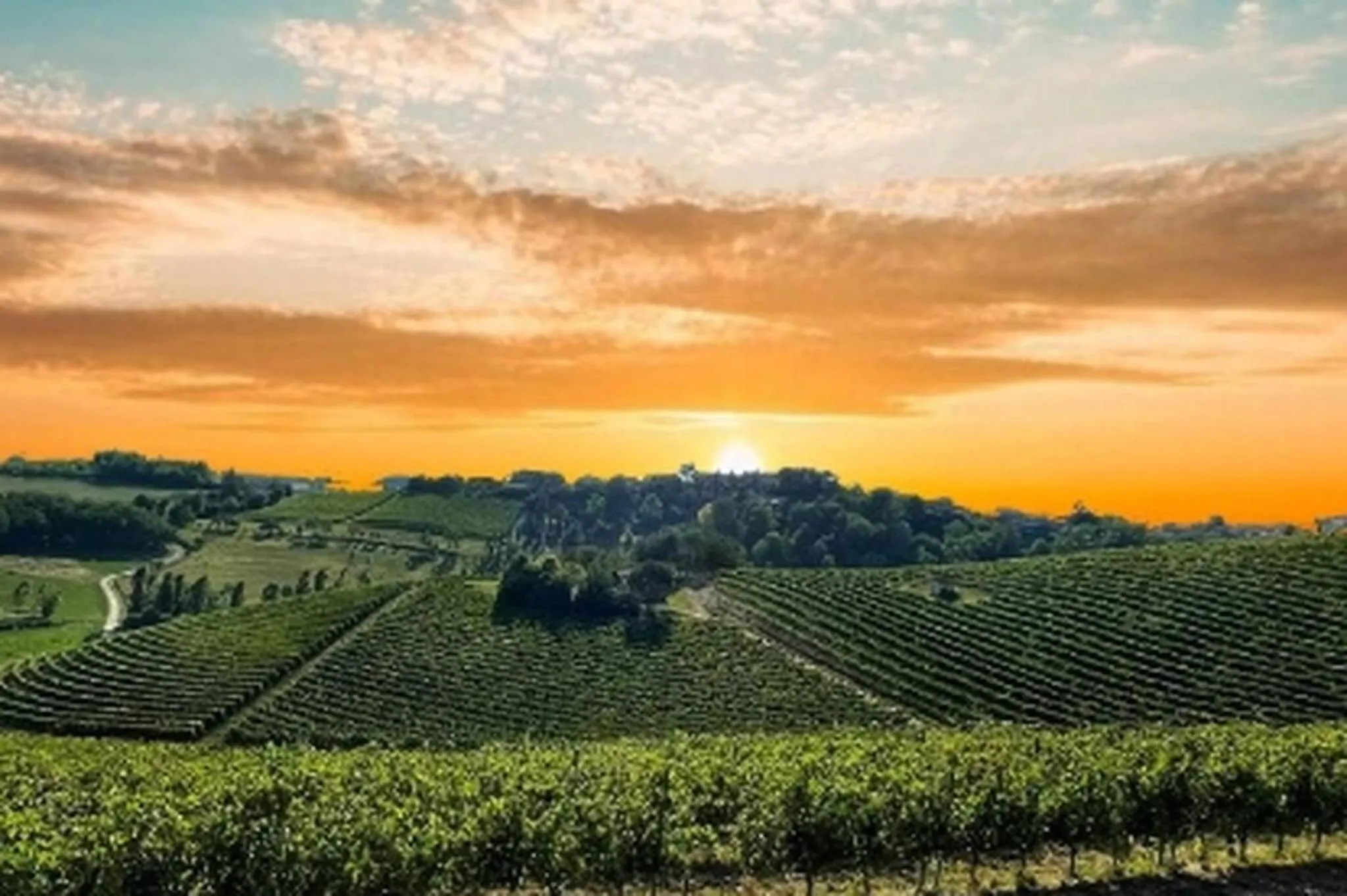 View (from property/room) in Nido Tra Le Stelle E Il Blu