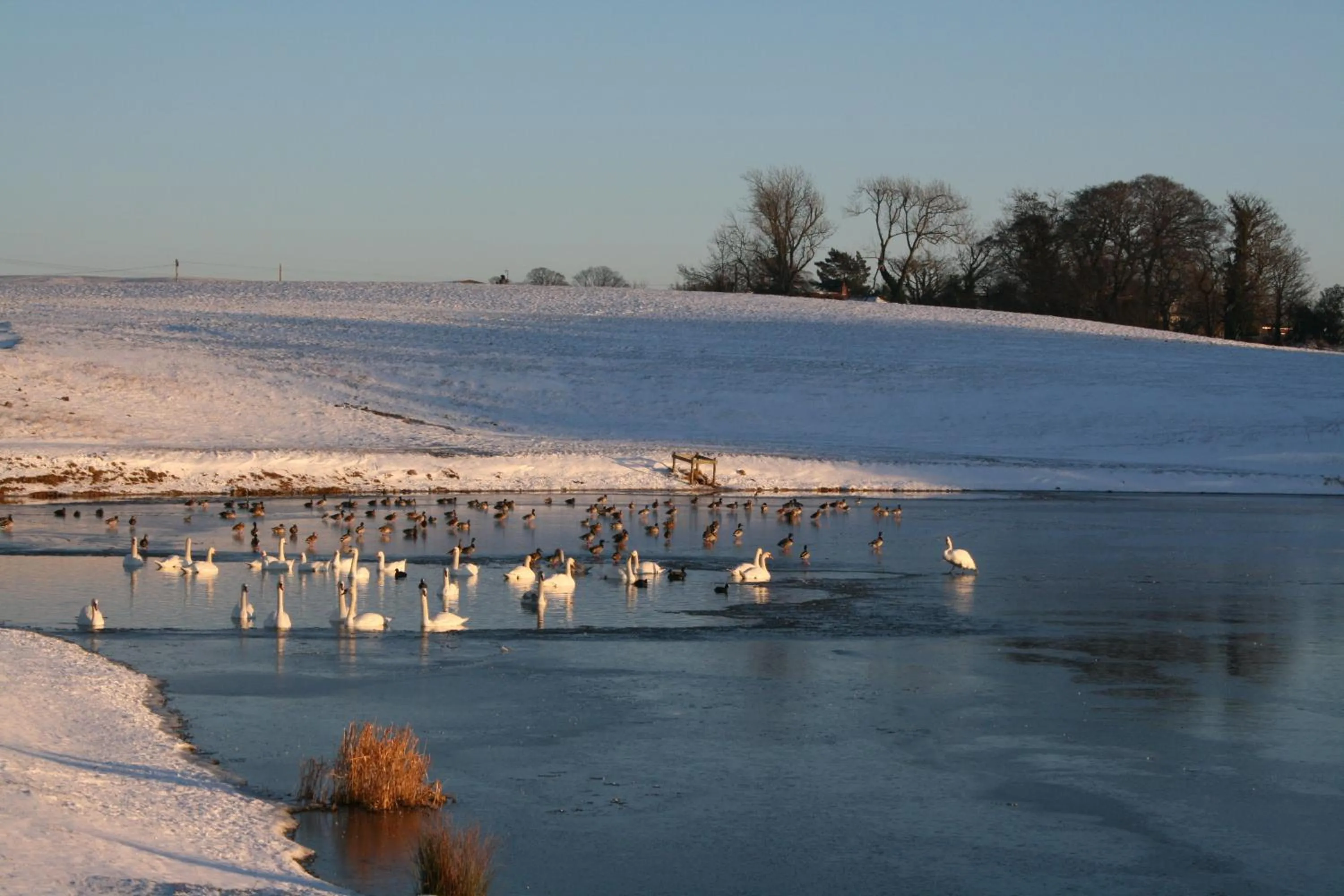 Area and facilities in Pattys Barn Holiday Cottages, Cabins and Venue Hire