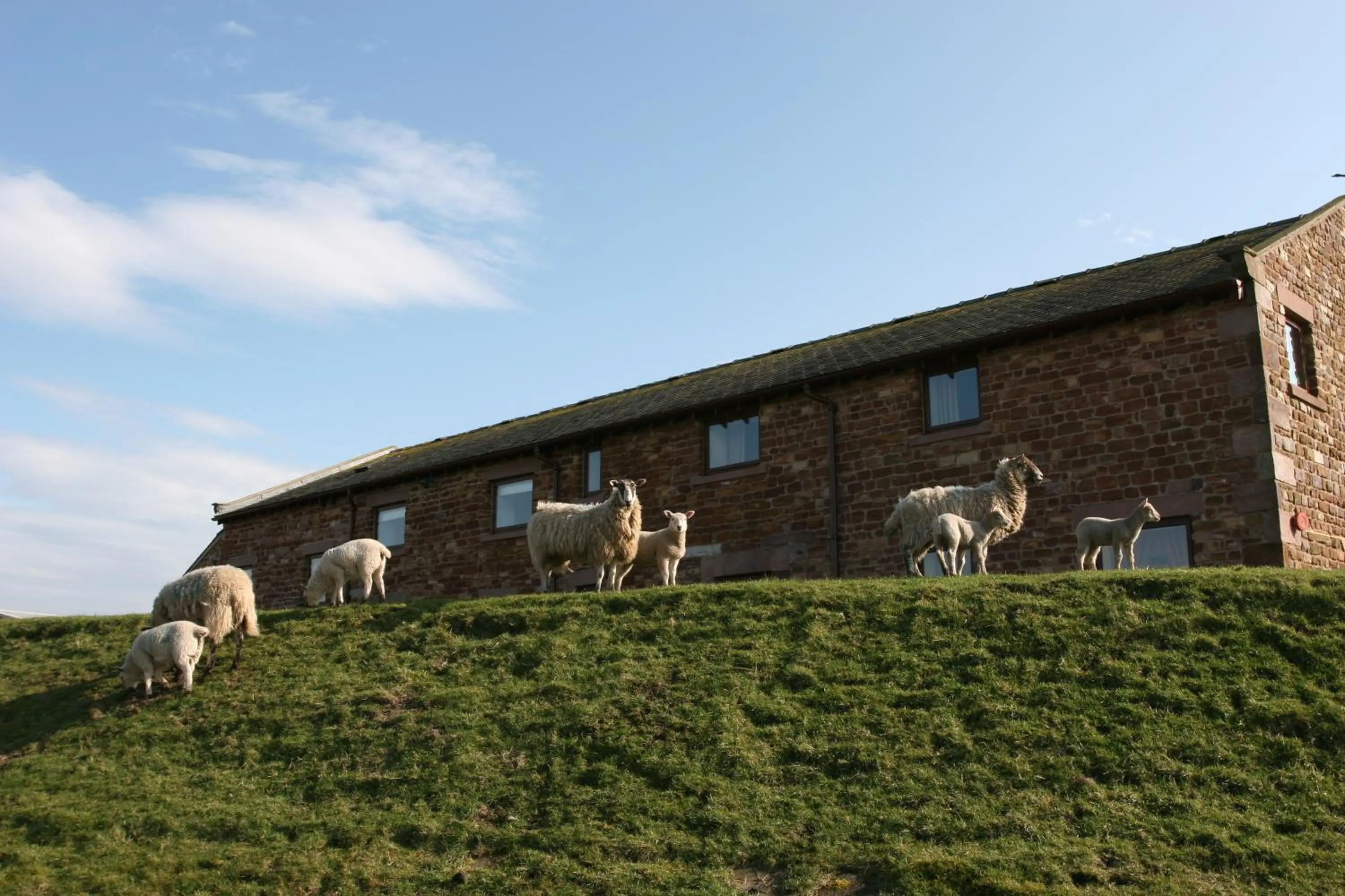 Facade/entrance in Pattys Barn Holiday Cottages, Cabins and Venue Hire