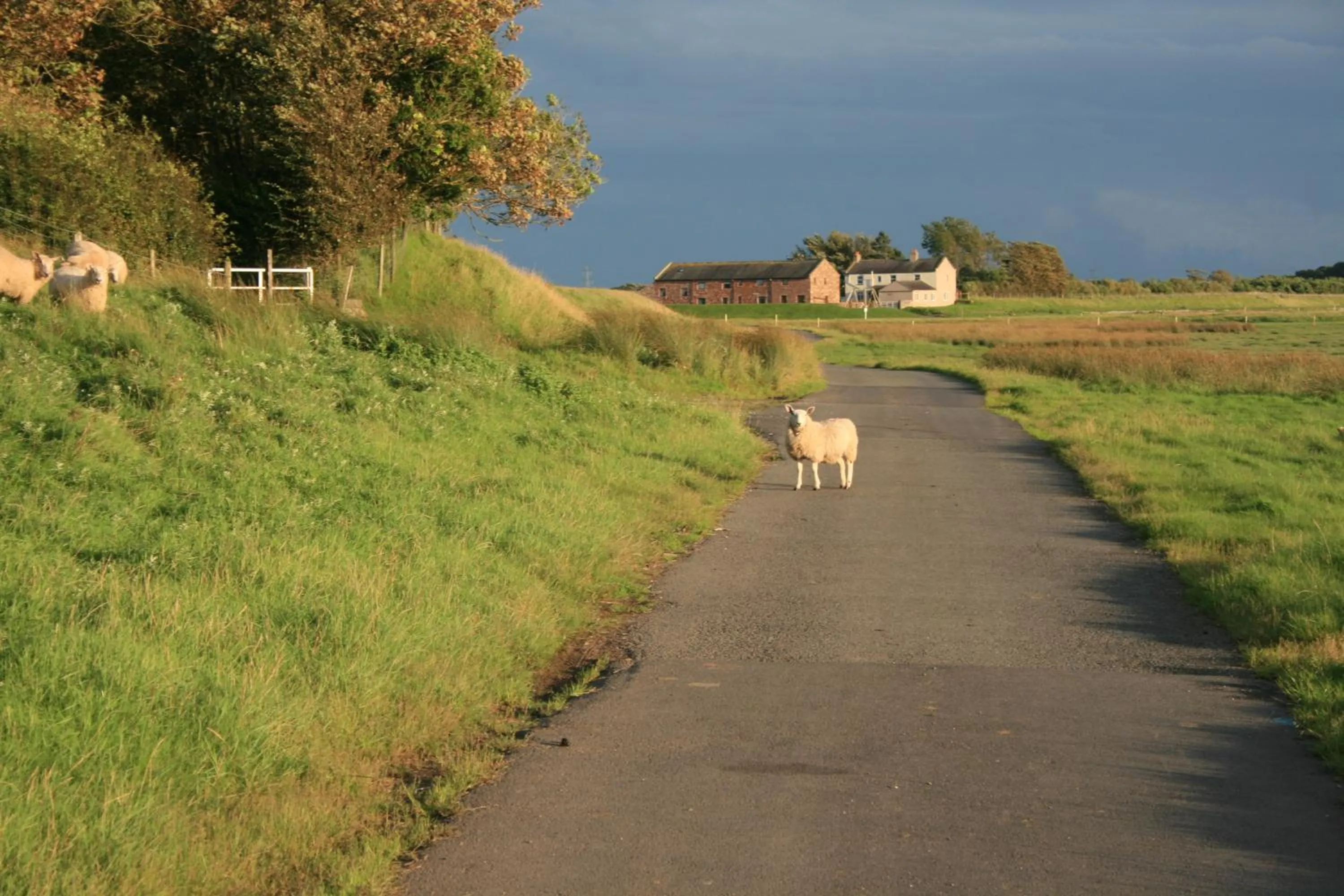 Area and facilities in Pattys Barn Holiday Cottages, Cabins and Venue Hire