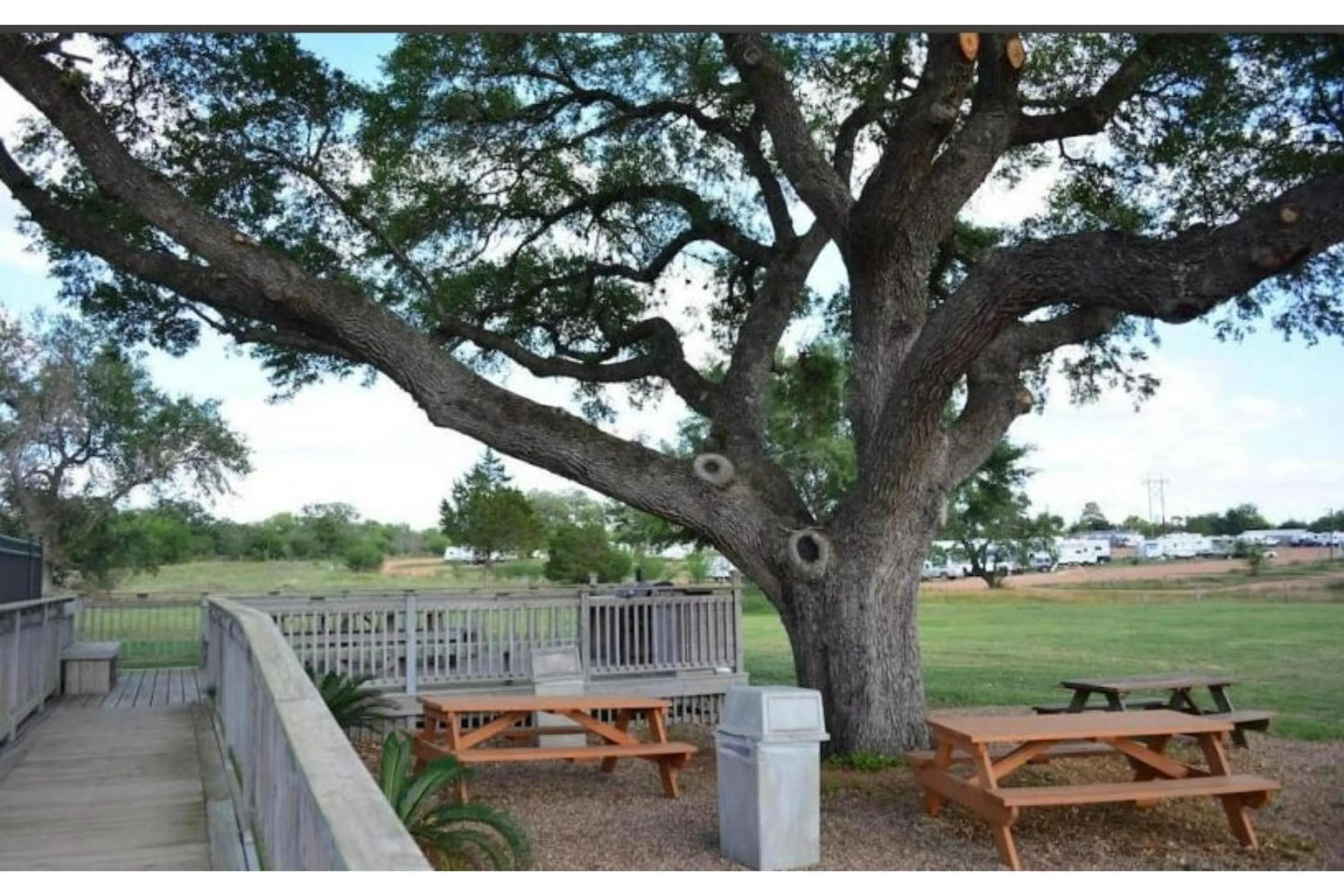 Area and facilities in Hotel O Executive Inn & Suites Cuero Hwy 87