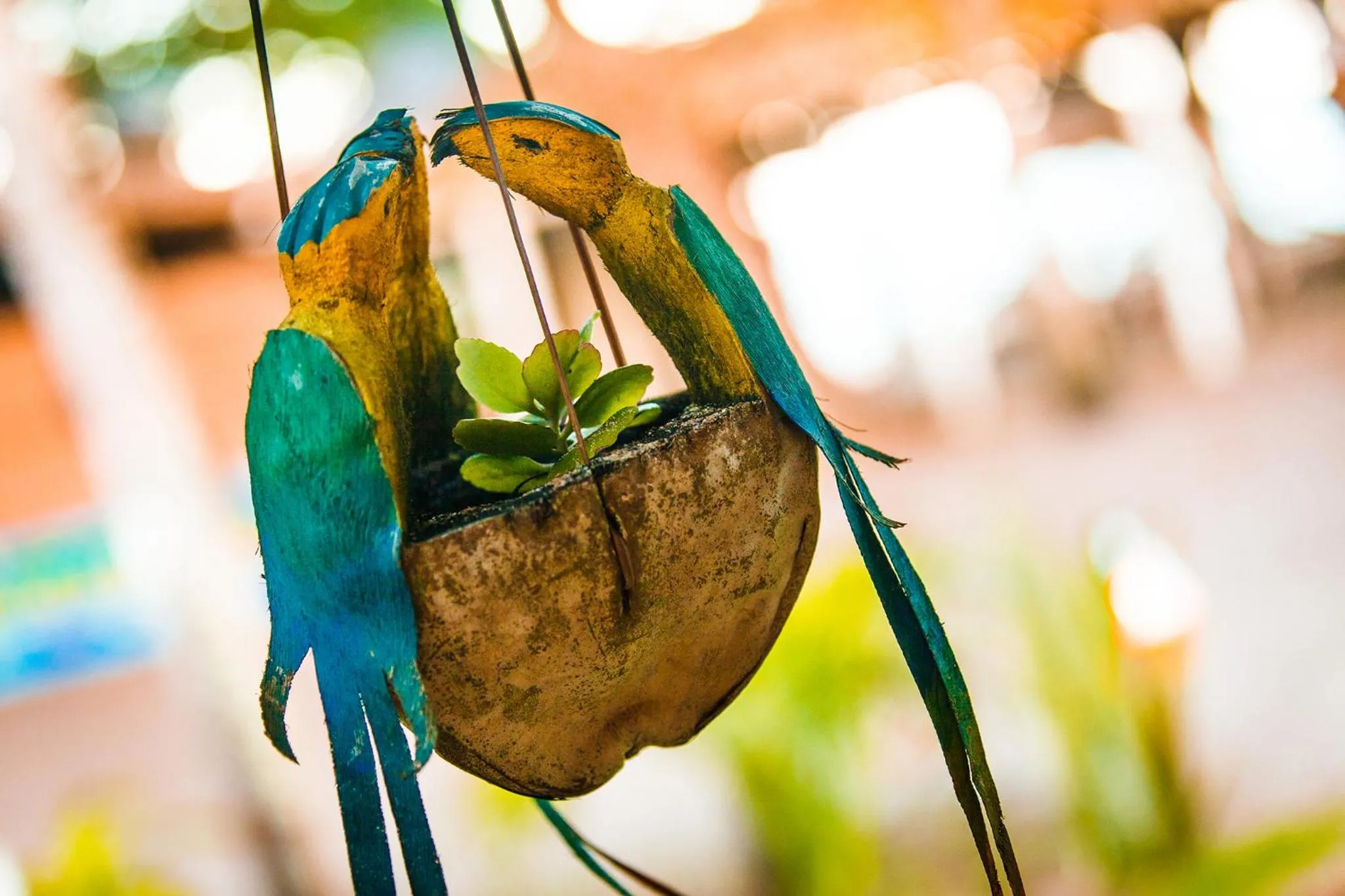 Decorative detail in Pousada Coco Brasil