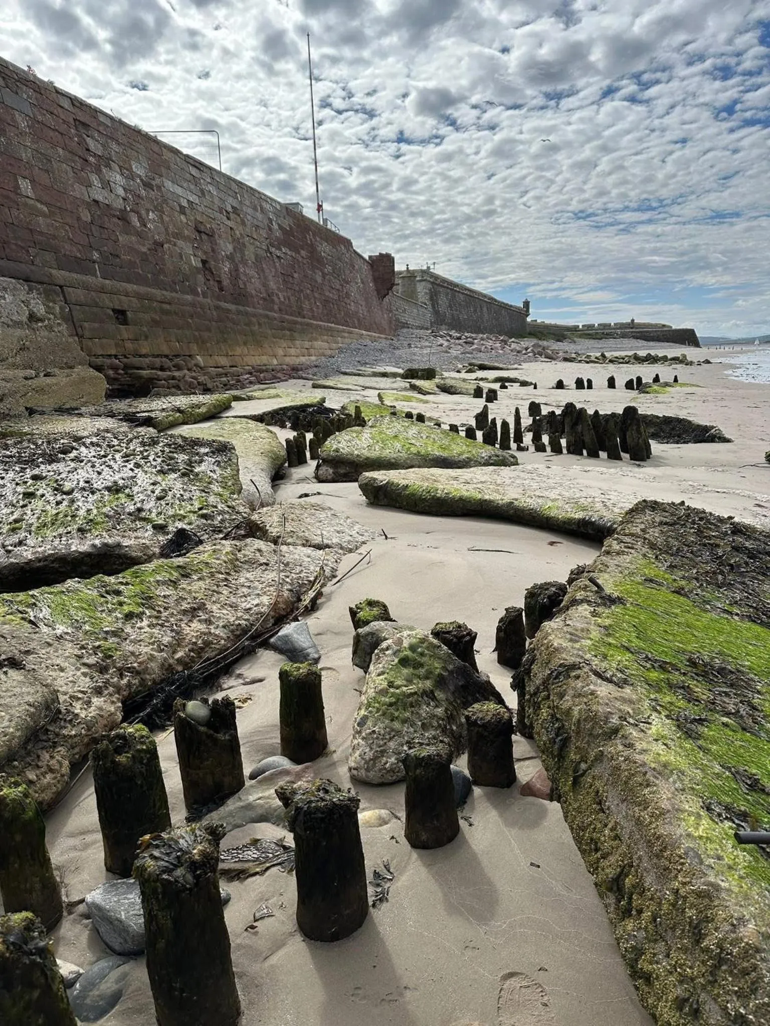 Natural landscape in Broomlea