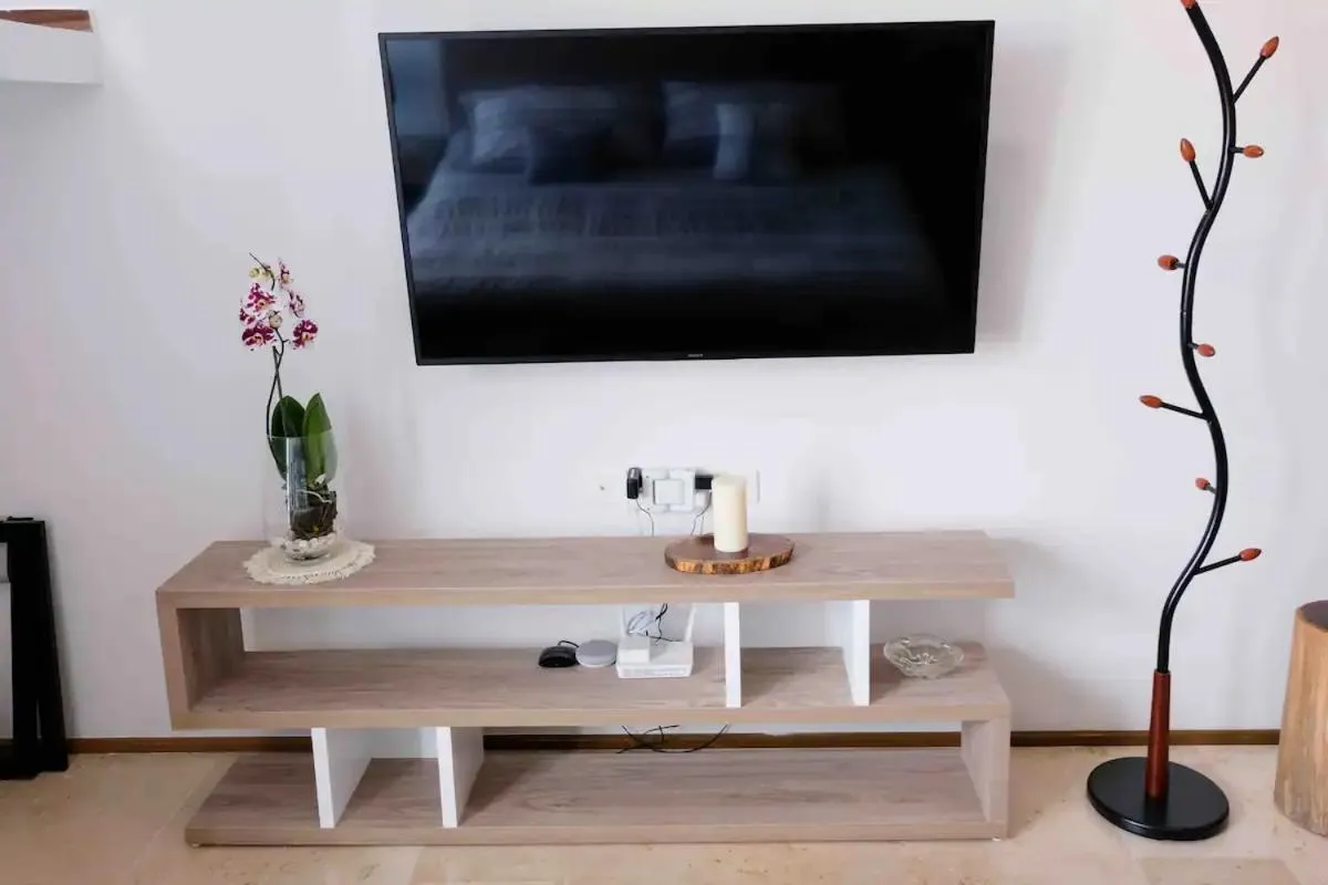 TV and multimedia in Stayon5a Av penthouse with PrivatePool