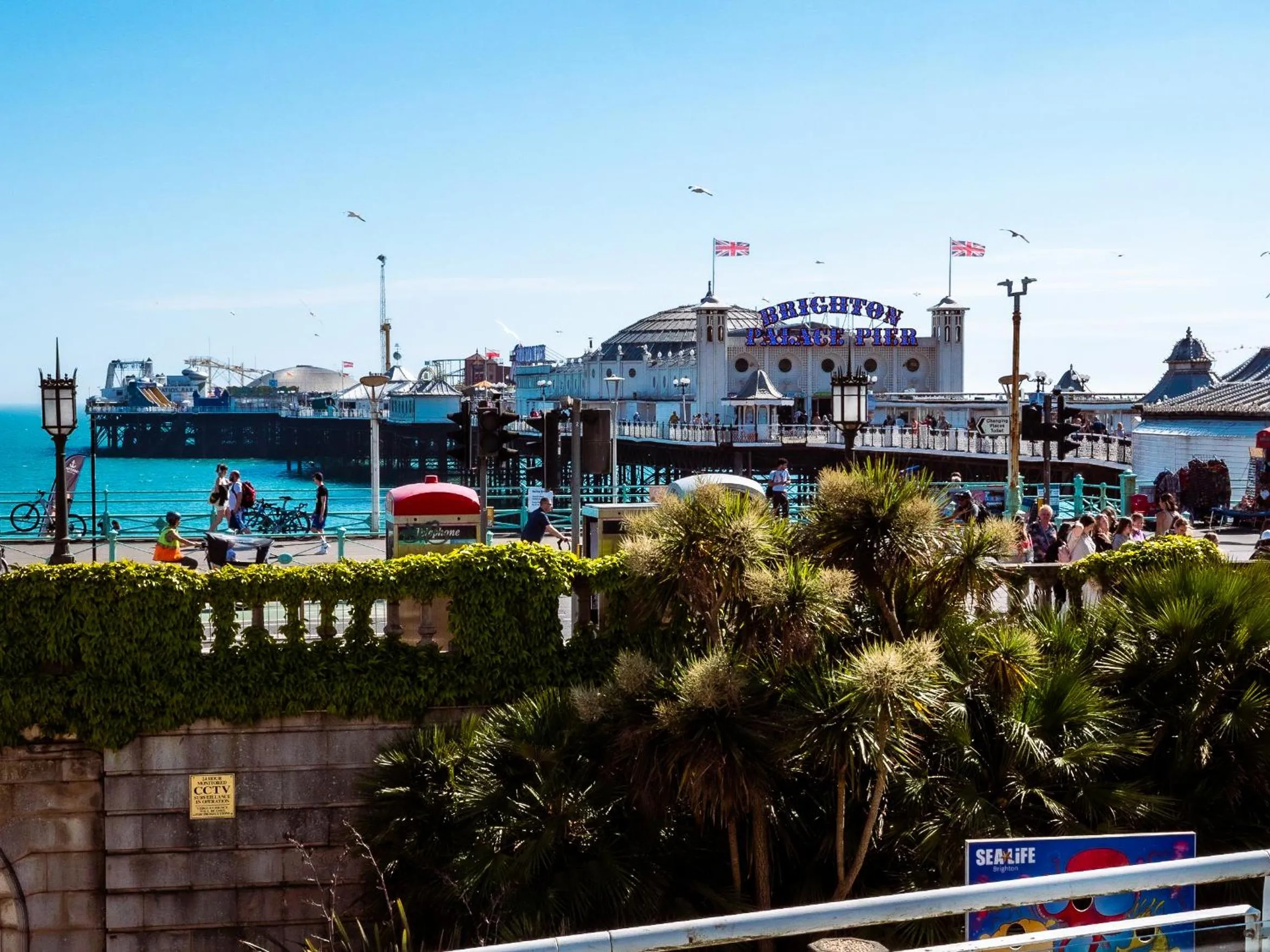 Beach in a&o Brighton Beach