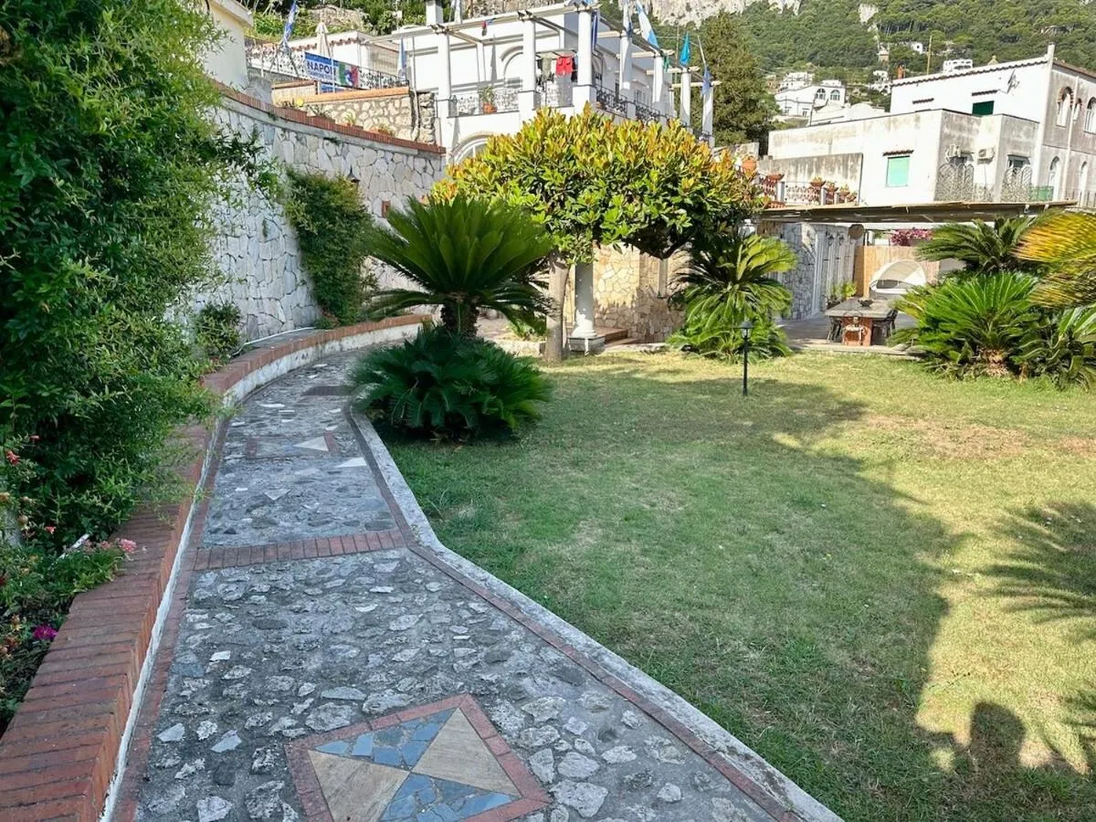 Garden in Villa Amalu Capri Piscina e Giardino