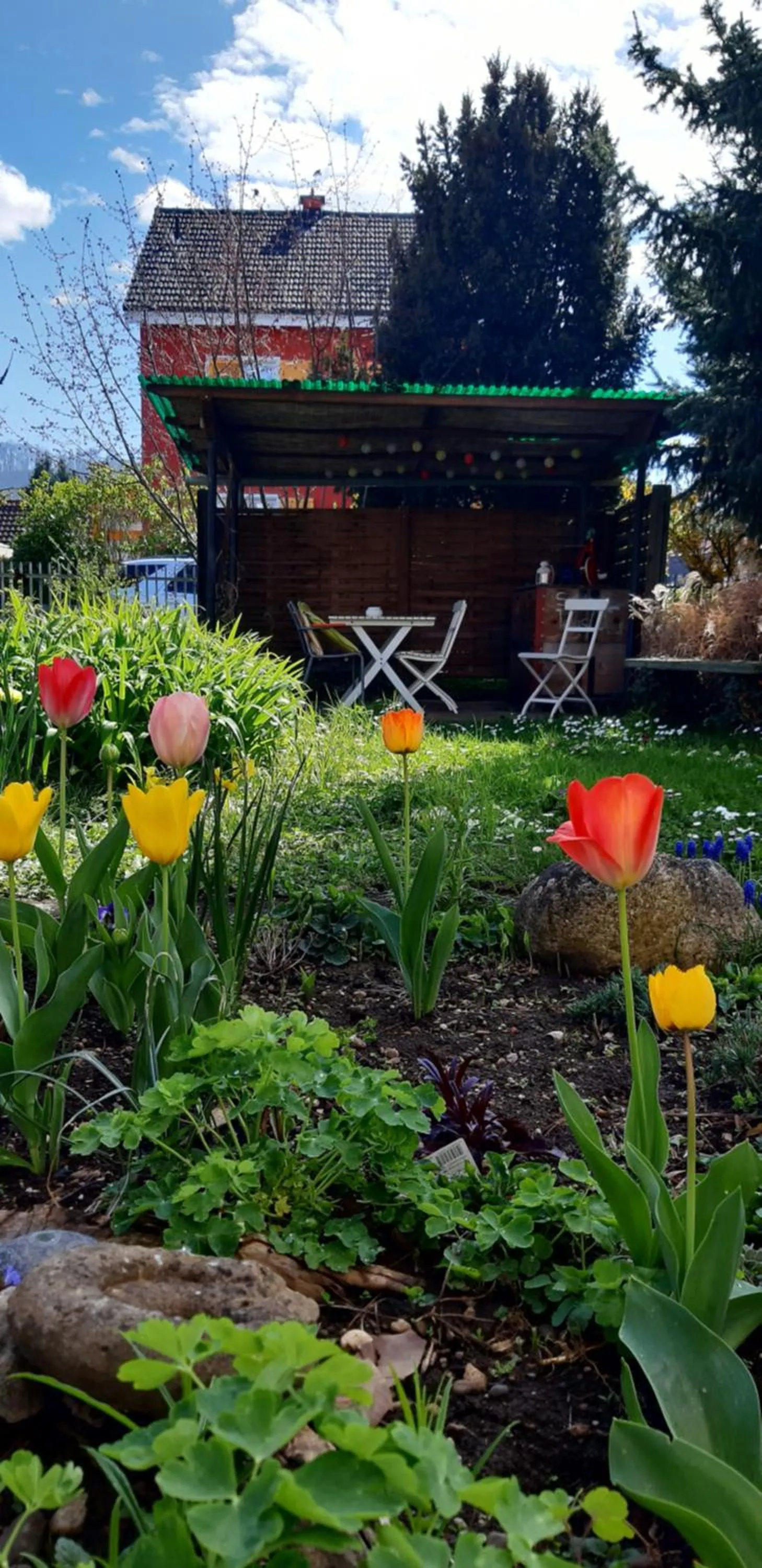 Garden in B&B Kalimera Pratteln