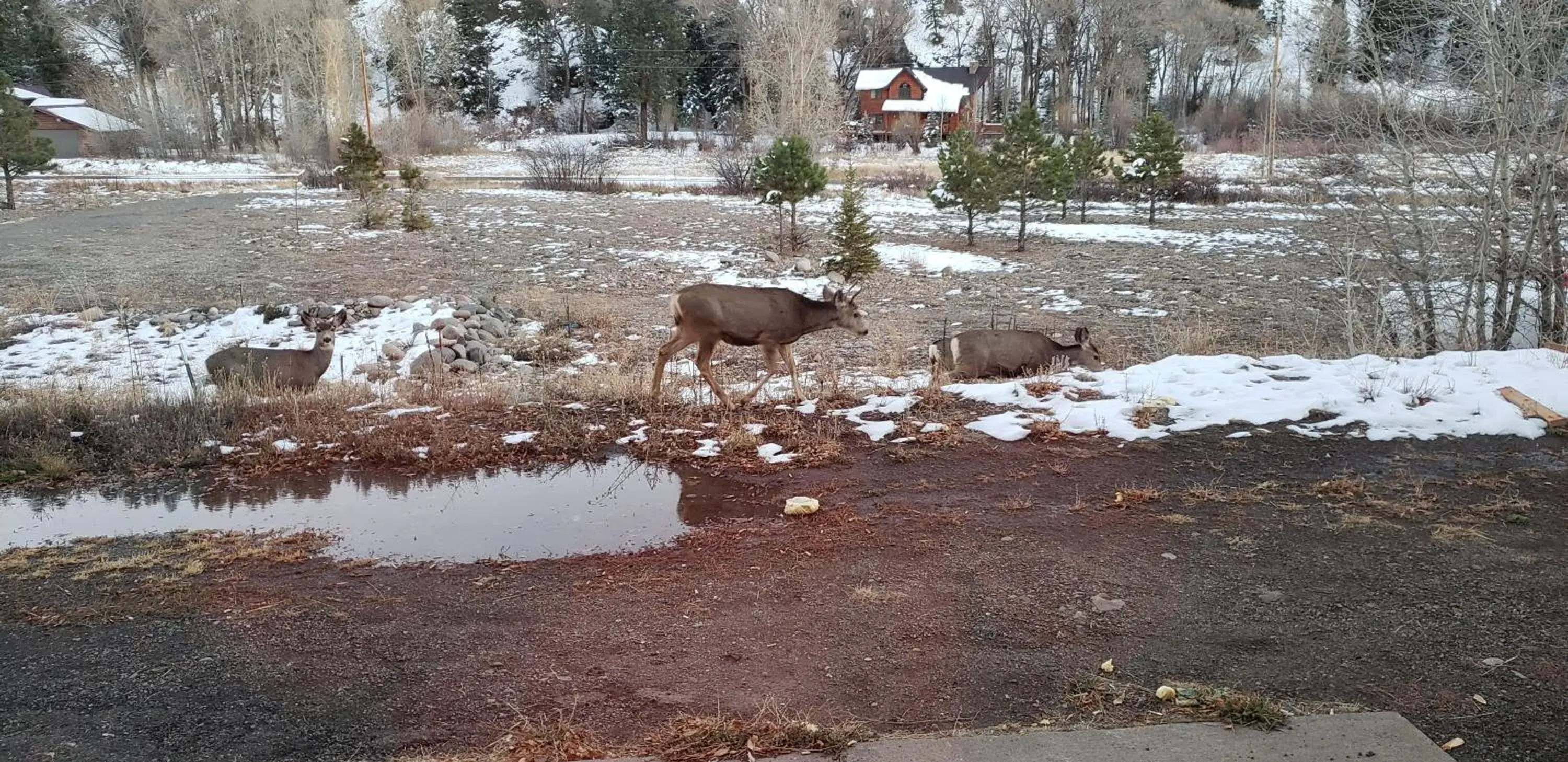 Mountain view in Quality Inn & Suites Mountain view in Quality Inn & Suites
