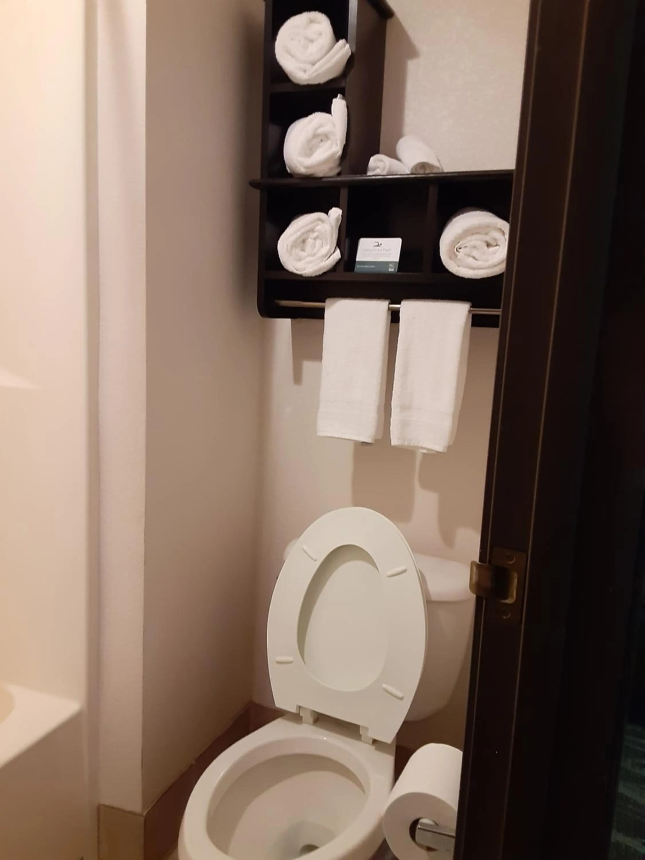 Toilet in Quality Inn & Suites