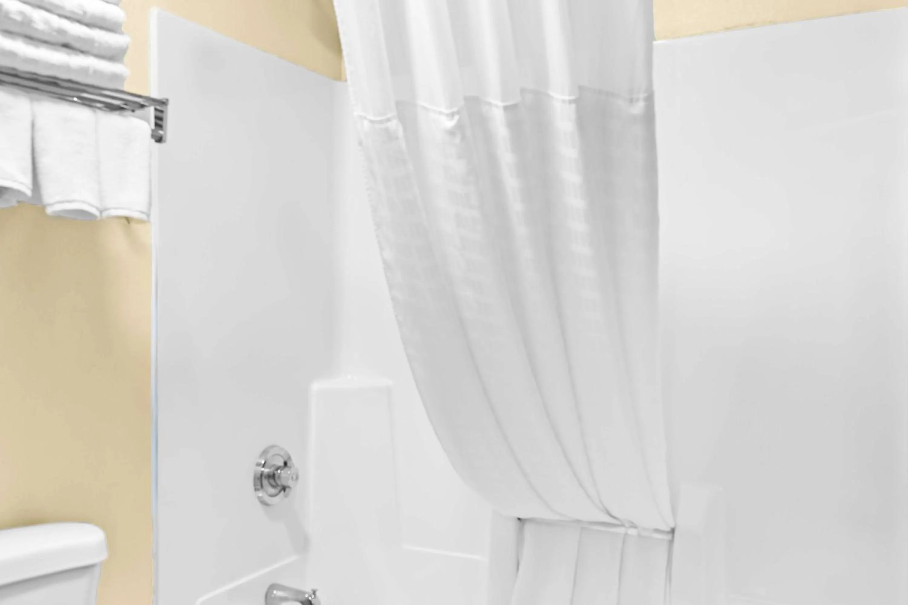 Bathroom in Best Western Jacksonville Inn