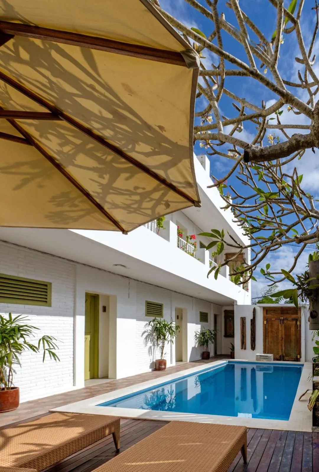 Honu Studio Living
