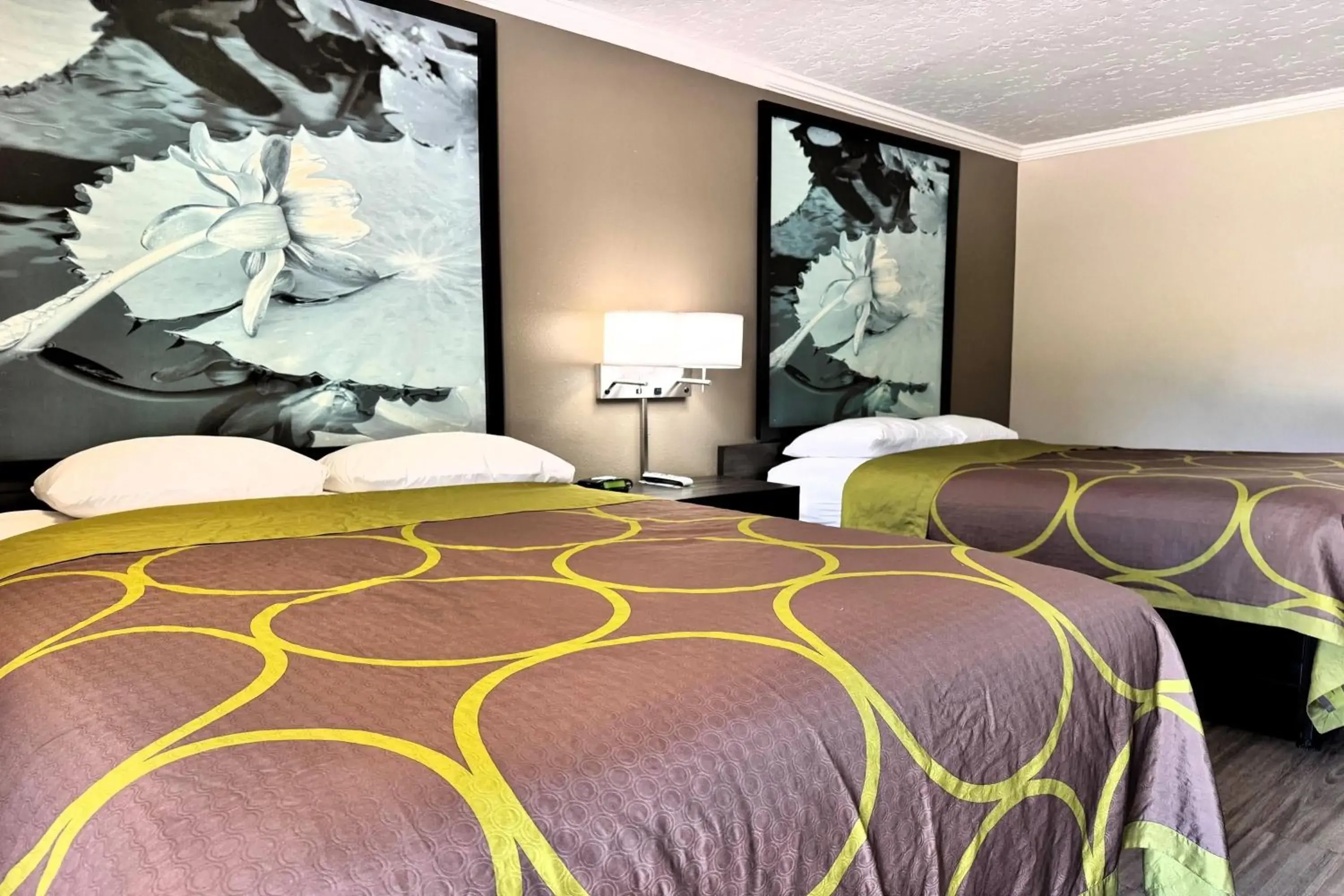 Photo of the whole room, Bed in Super 8 by Wyndham Picayune Photo of the whole room, Bed in Super 8 by Wyndham Picayune