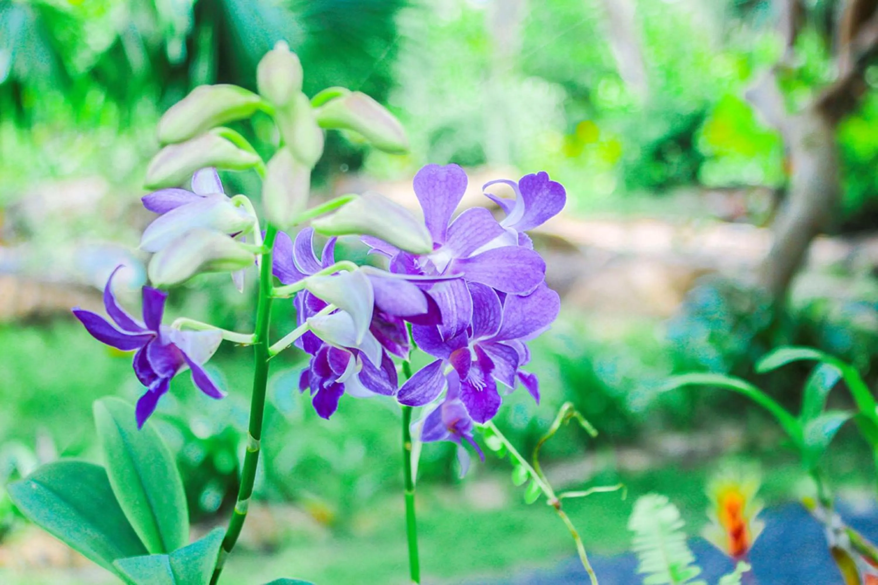 Neighbourhood in Me bungalow beach resort