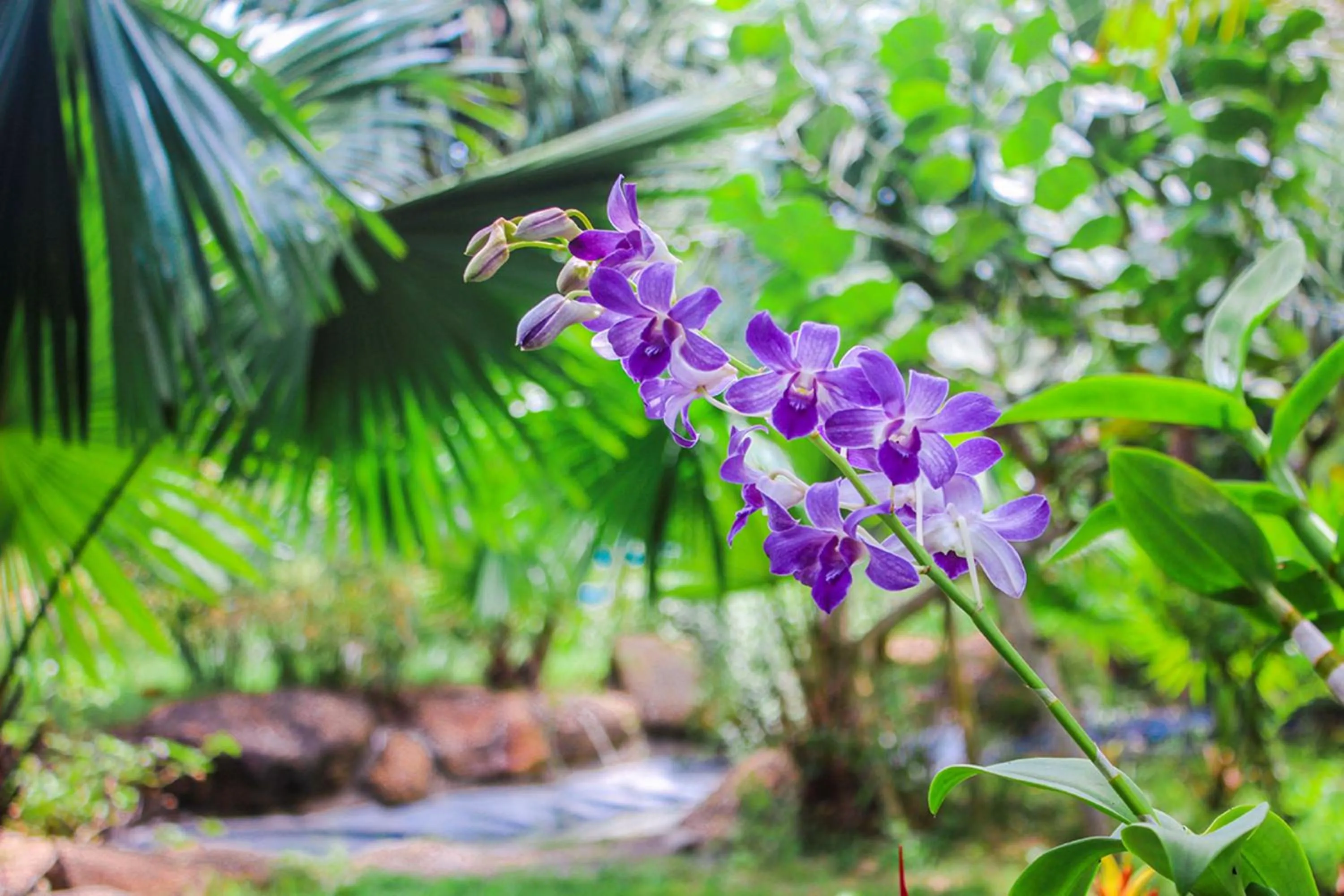 Natural landscape in Me bungalow beach resort