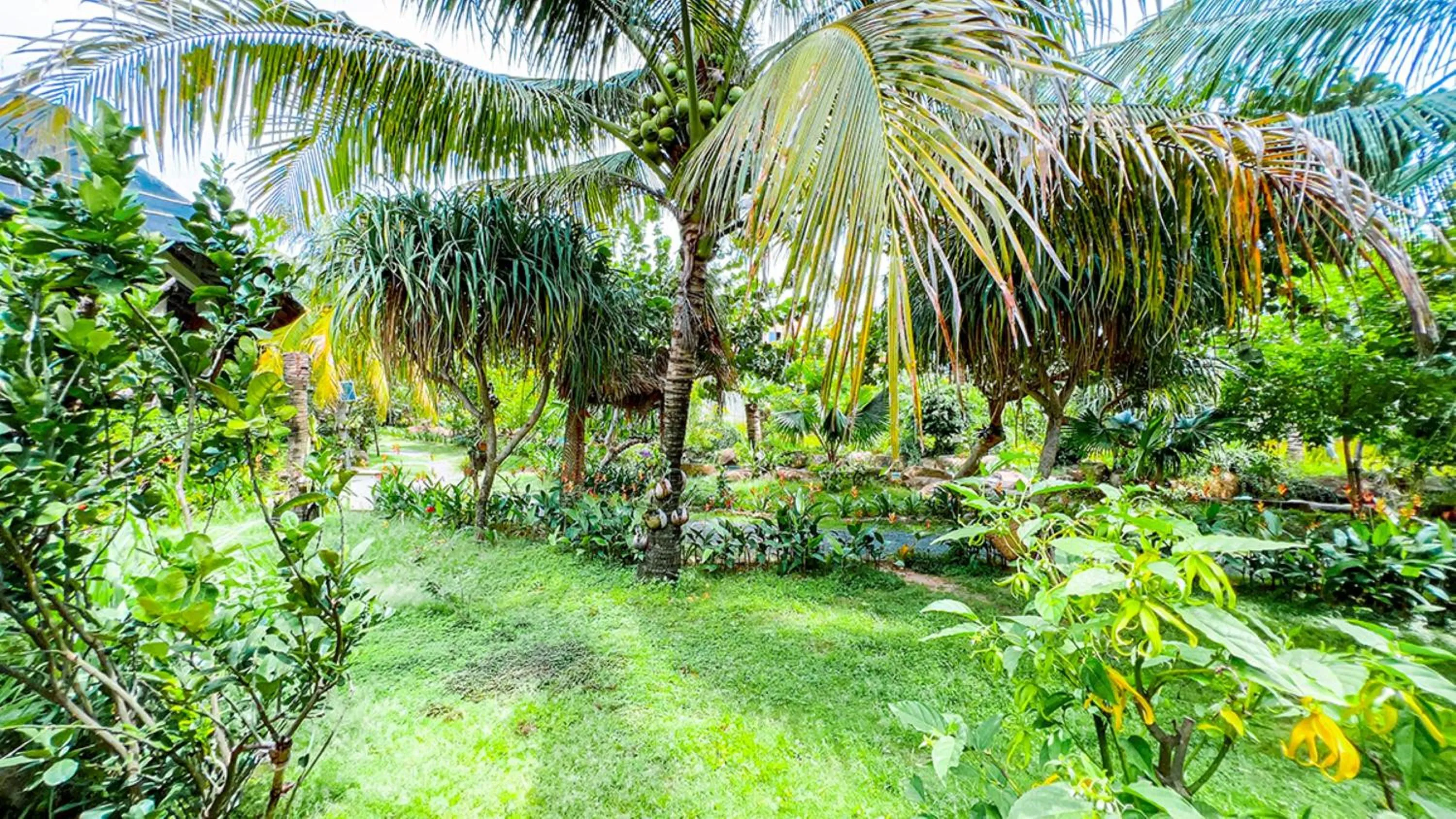 Natural landscape in Me bungalow beach resort