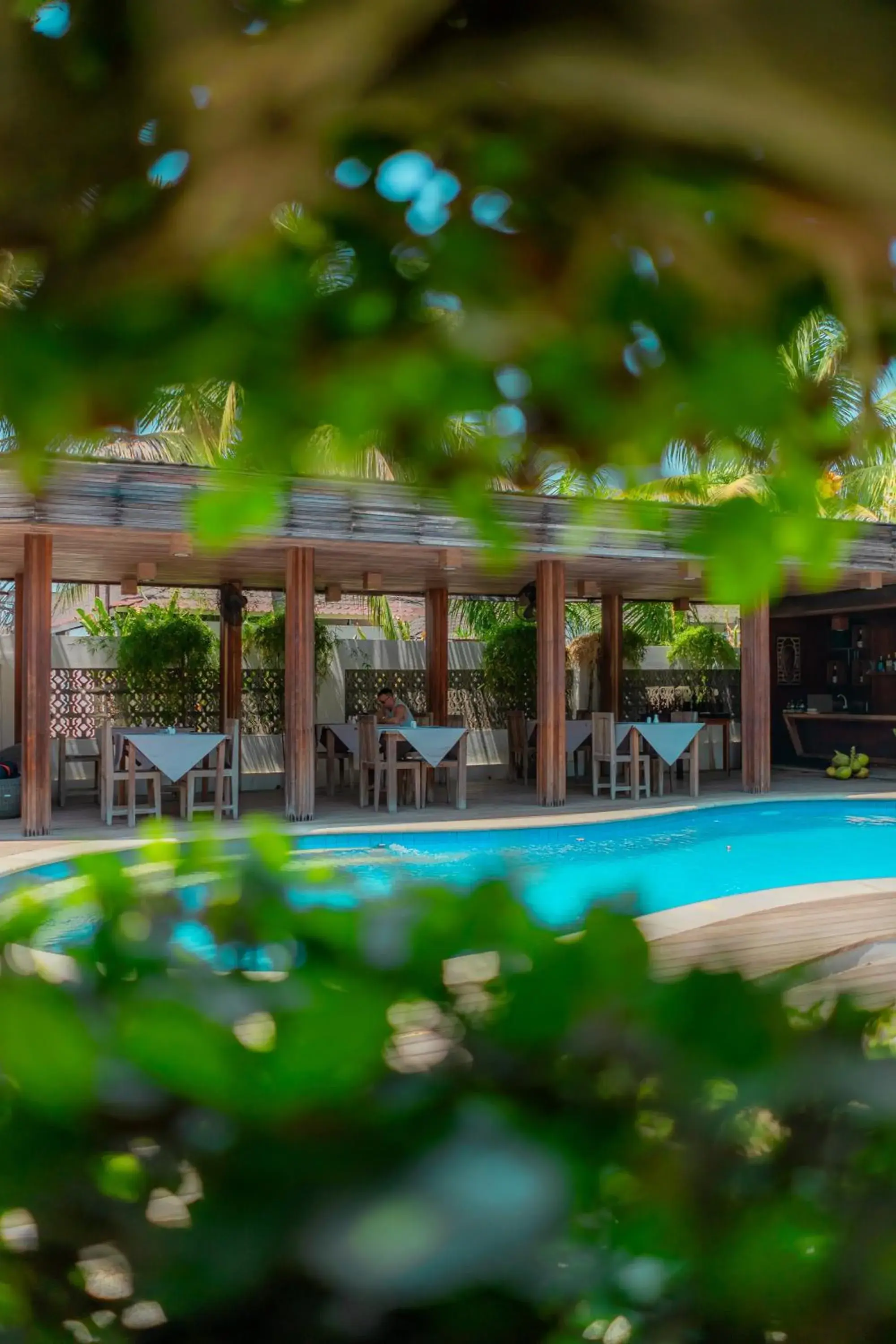 Pool view in Villa Nero Pool view in Villa Nero