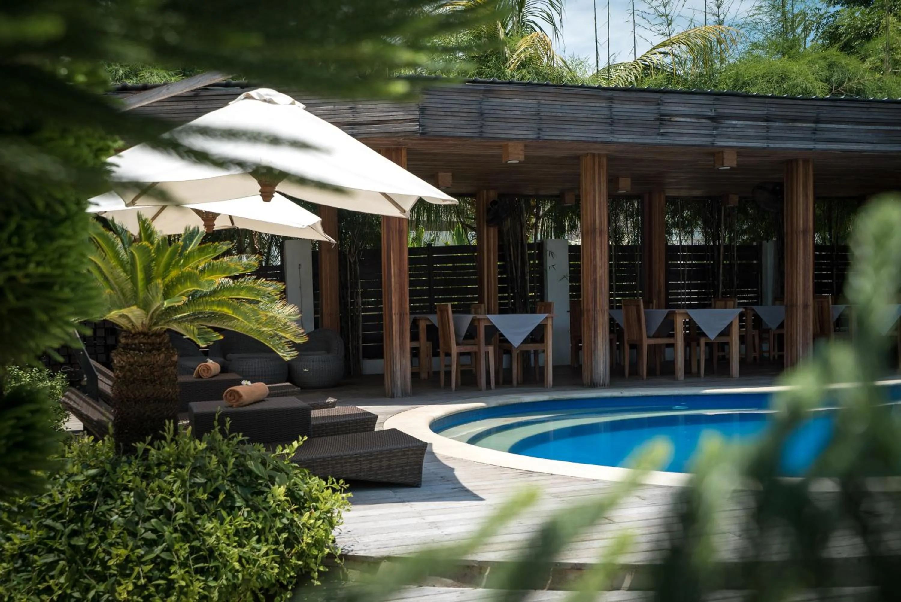 Swimming pool in Villa Nero