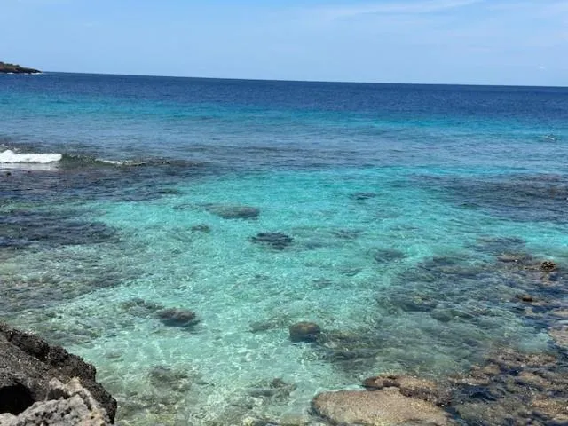 Beach in The Lodge Bonaire