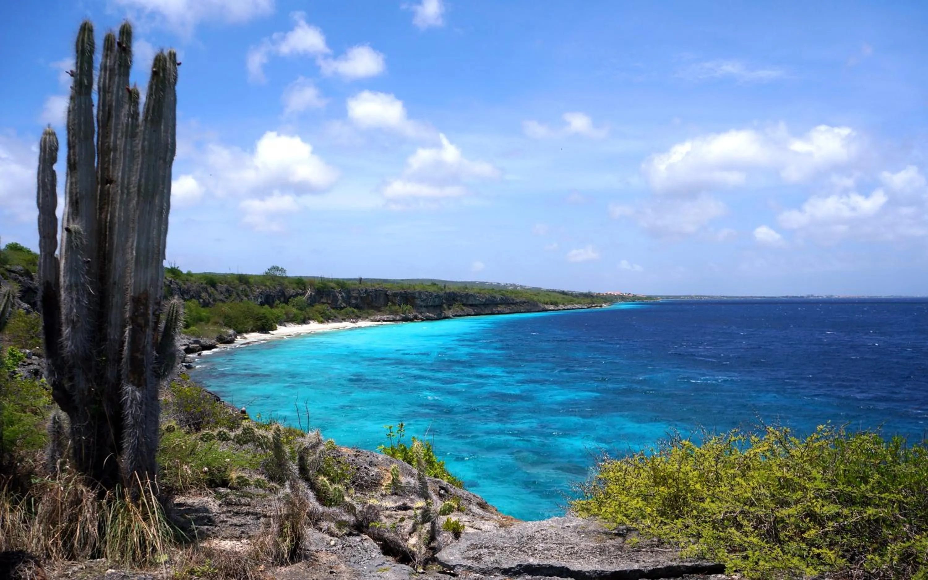 Beach in The Lodge Bonaire