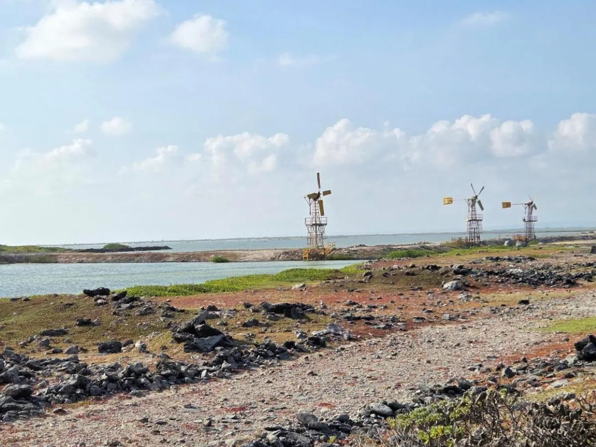 Natural landscape in The Lodge Bonaire