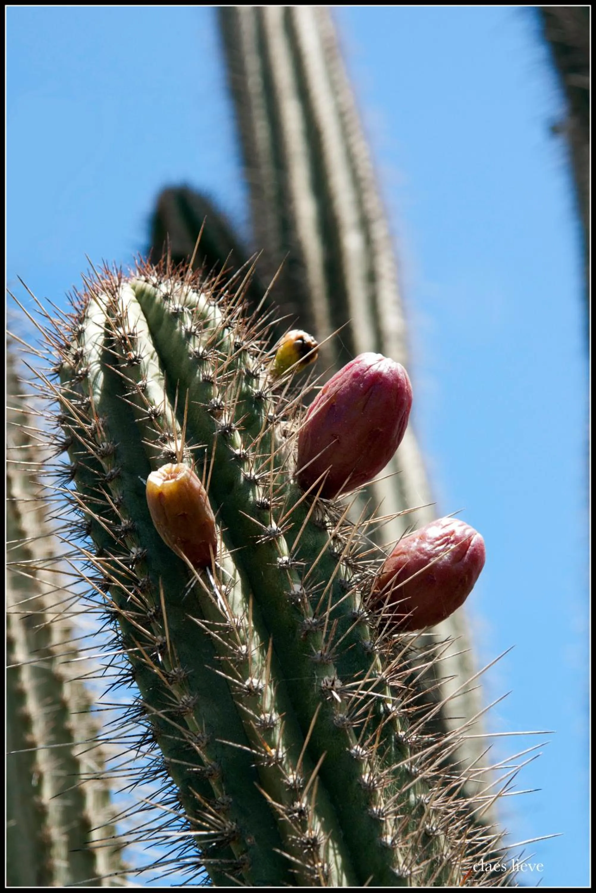 Day in The Lodge Bonaire