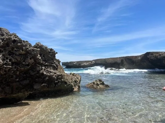Beach in The Lodge Bonaire