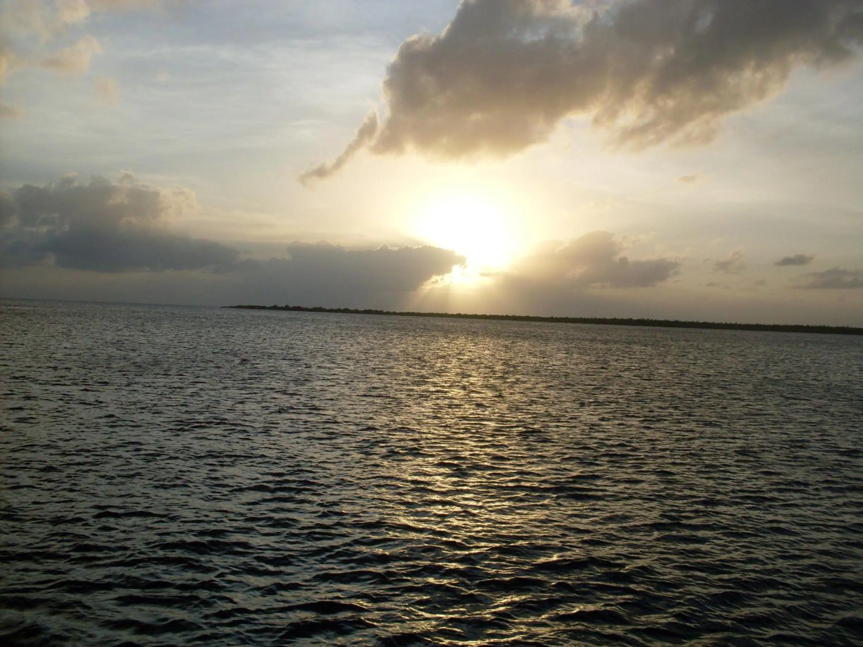 Beach in The Lodge Bonaire