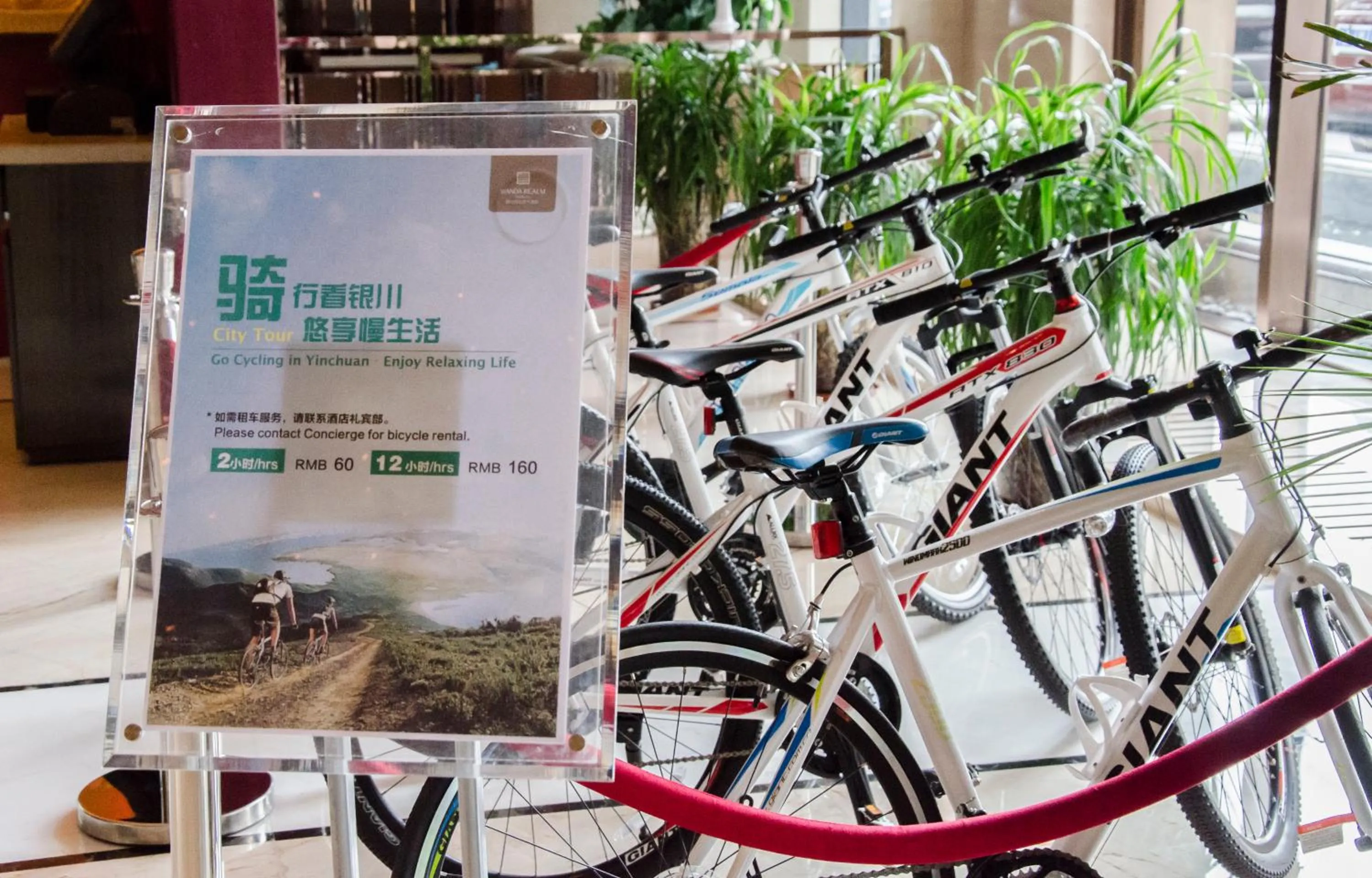 Cycling in Wanda Realm Yinchuan