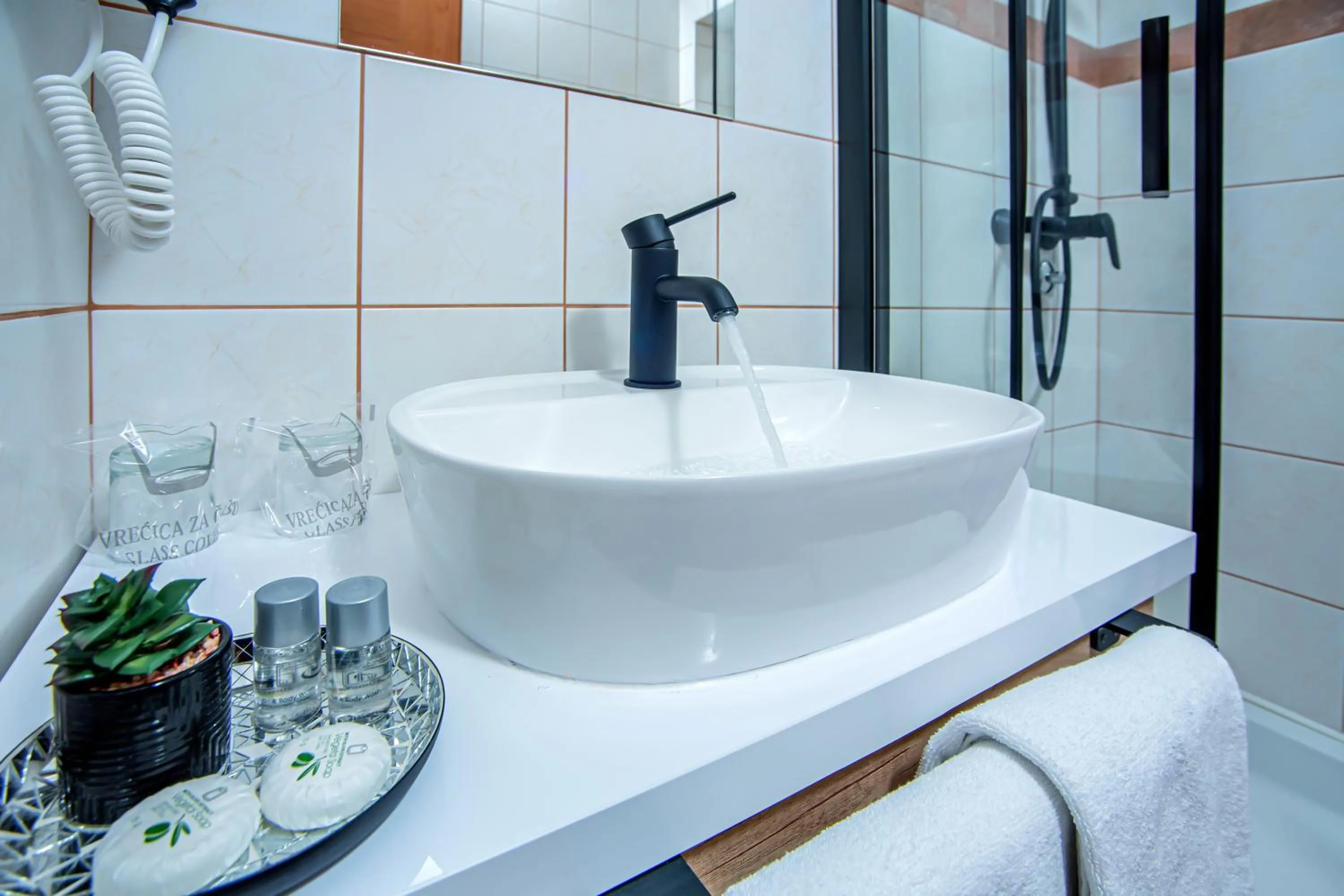 Apartment & rooms Vila Toplissa
