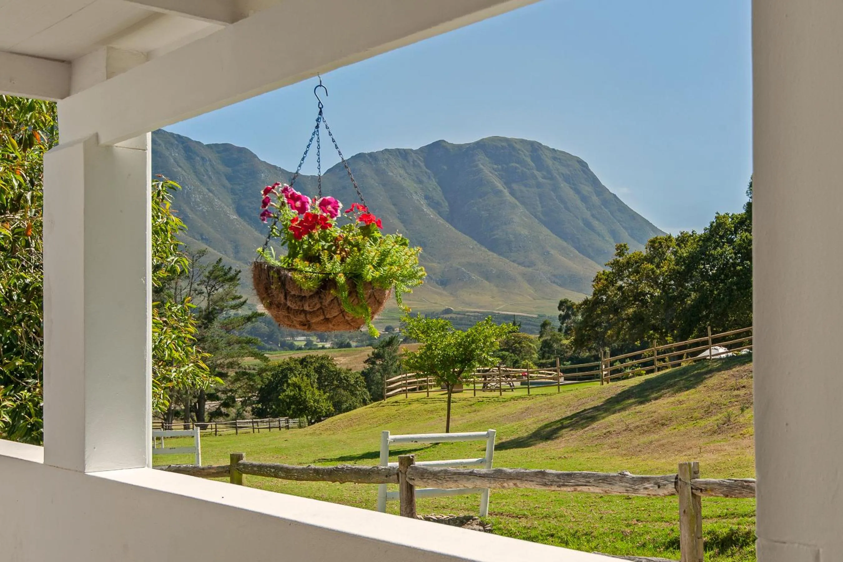 Patio in High Season Farm Luxury Cottages