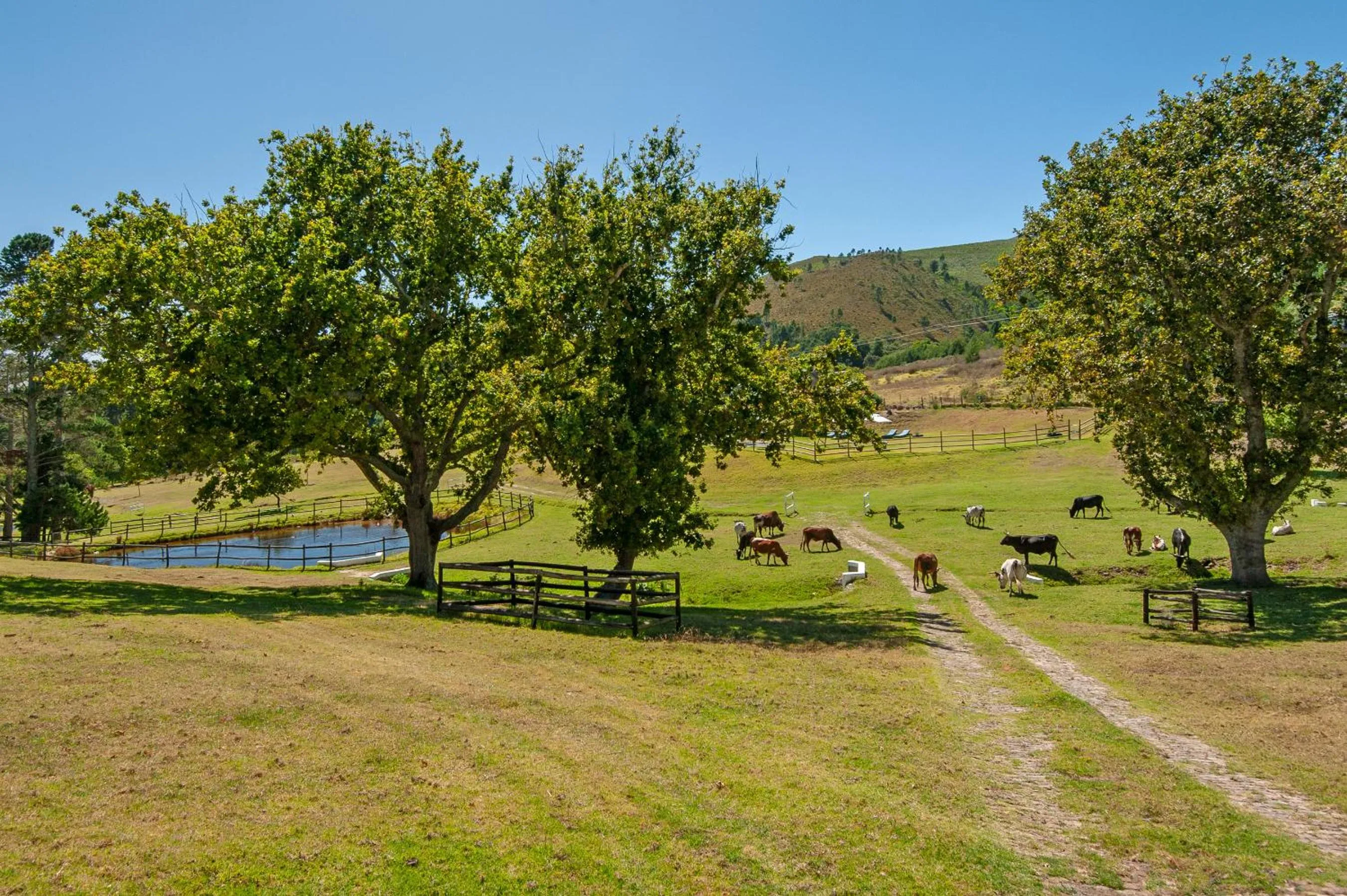 Natural landscape in High Season Farm Luxury Cottages