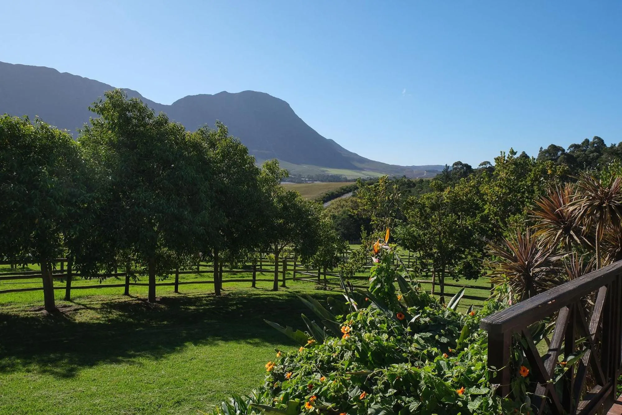 Garden in High Season Farm Luxury Cottages