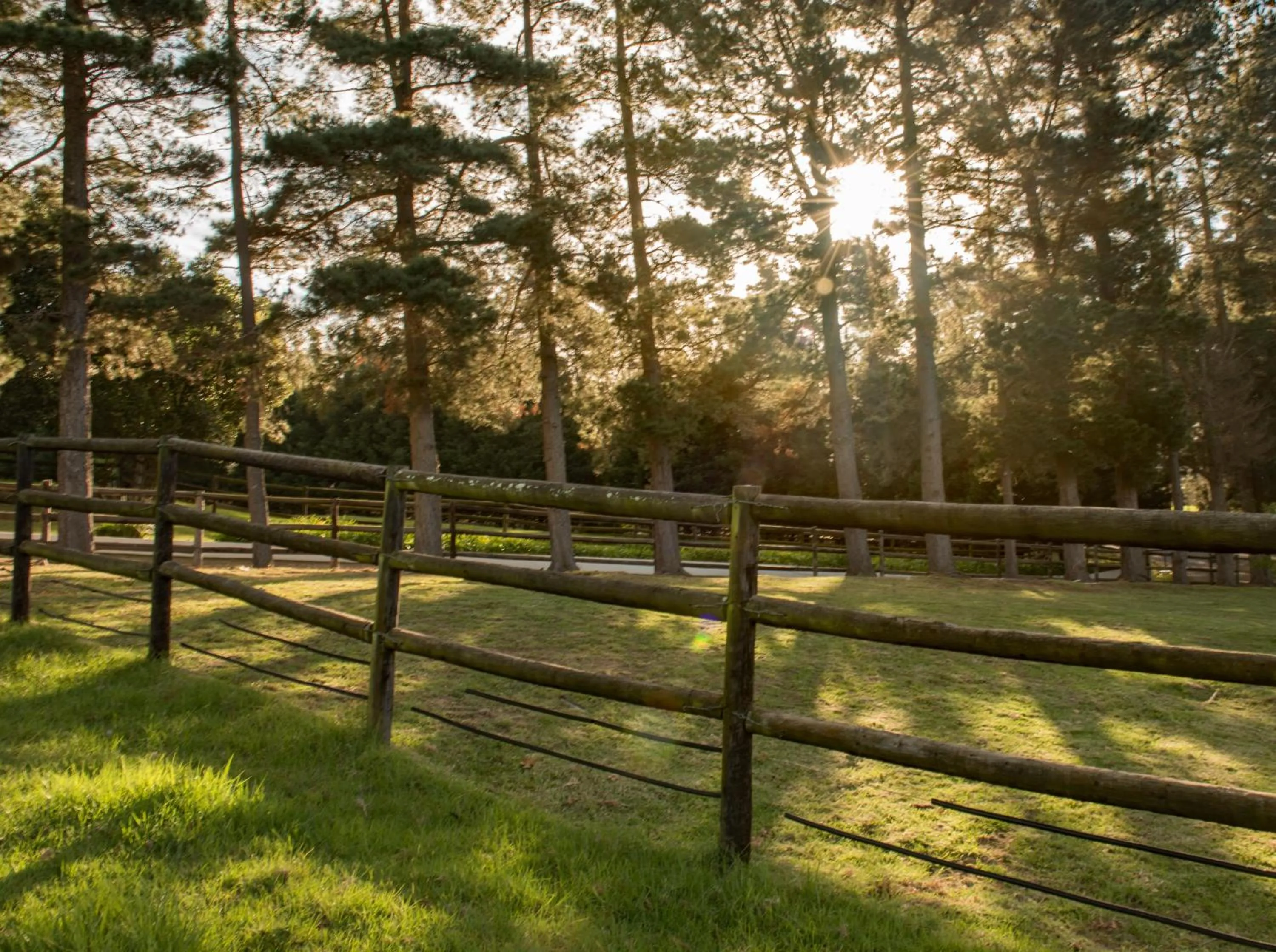 Garden in High Season Farm Luxury Cottages